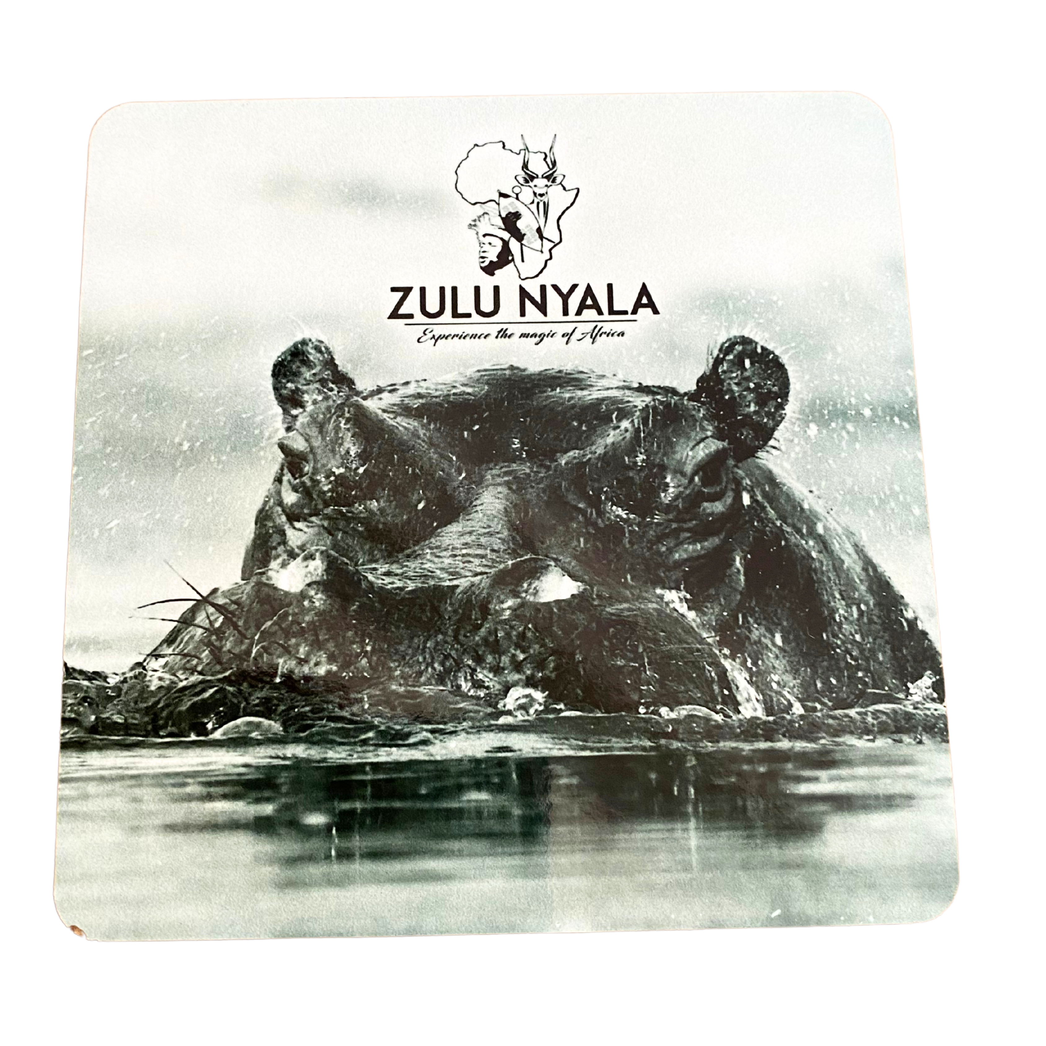 Black & White Wildlife Coasters (Zulu Nyala)