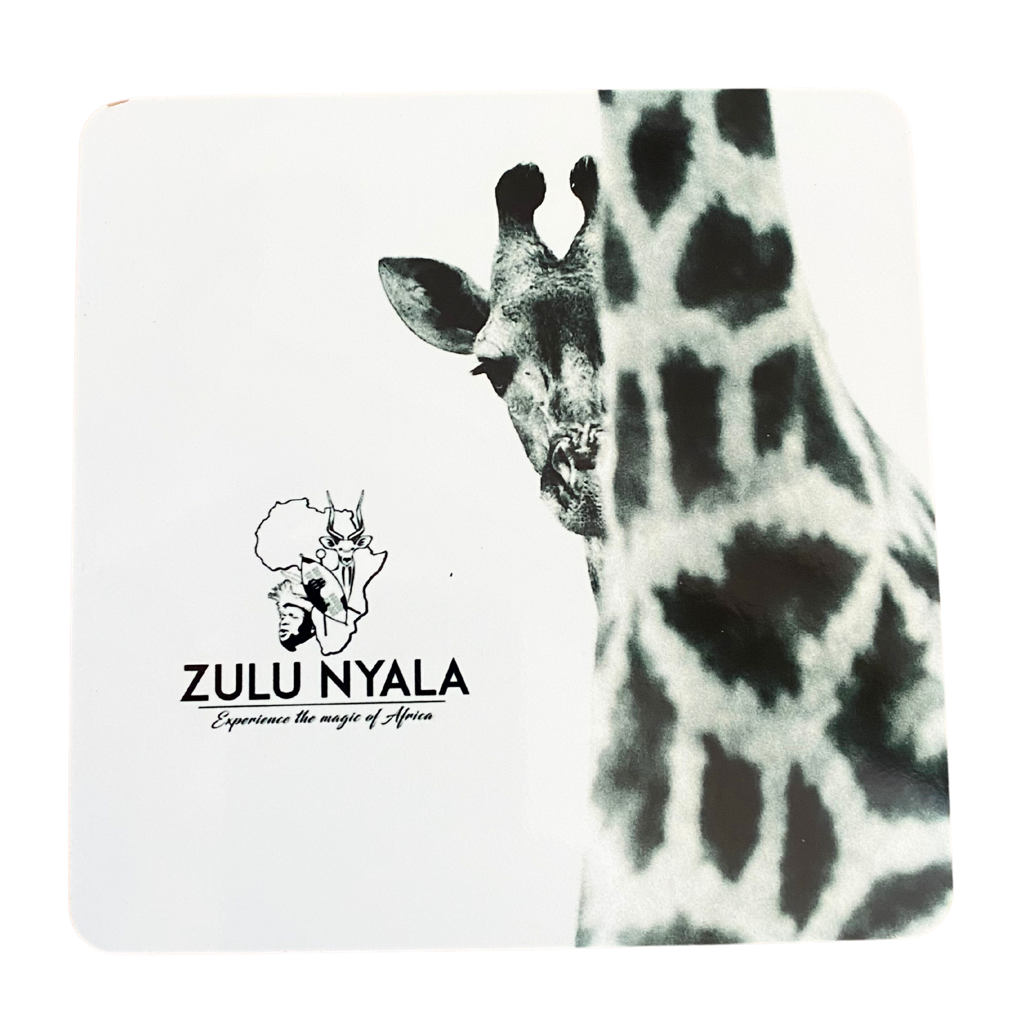 Black & White Wildlife Coasters (Zulu Nyala)