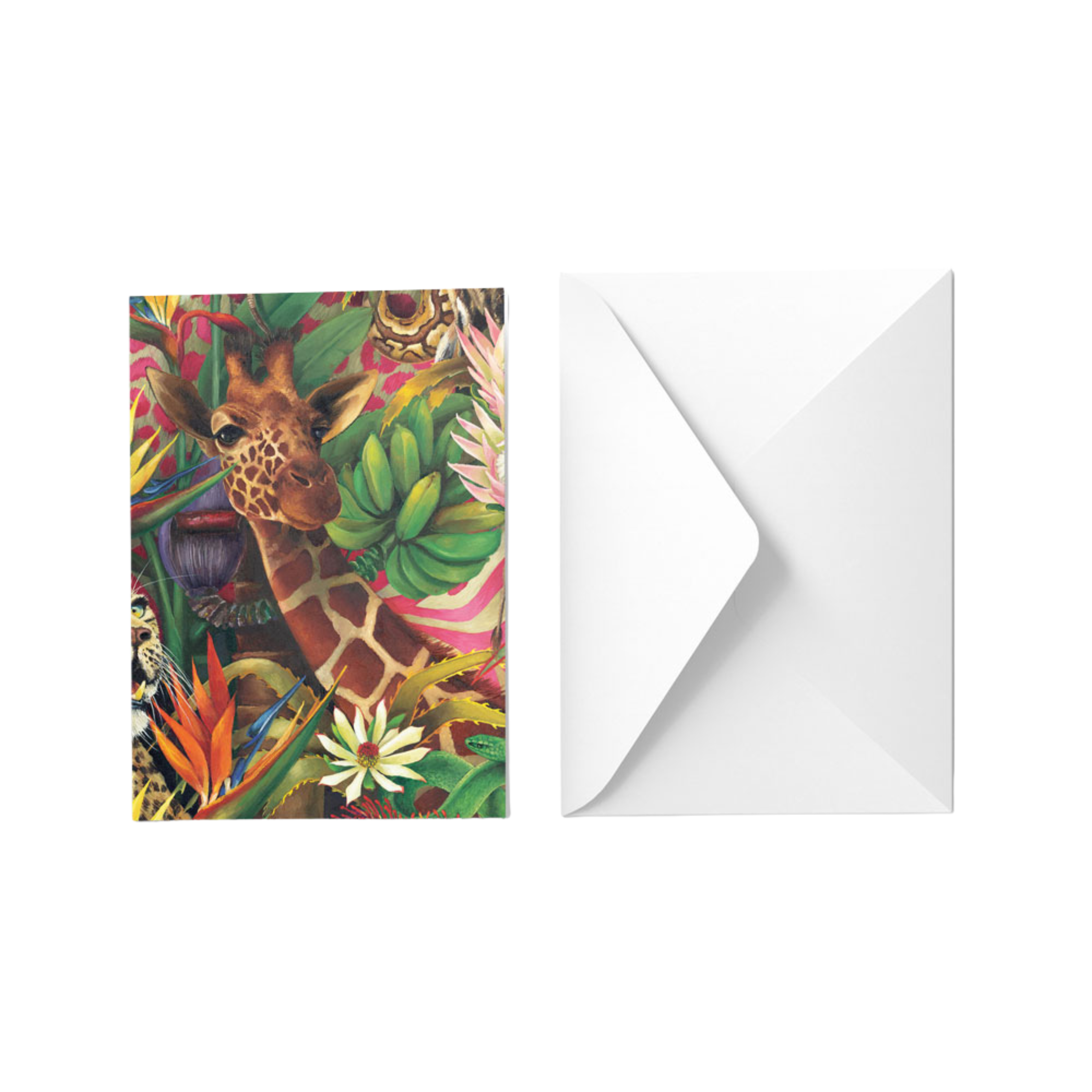 Jungle Greeting Card Pack