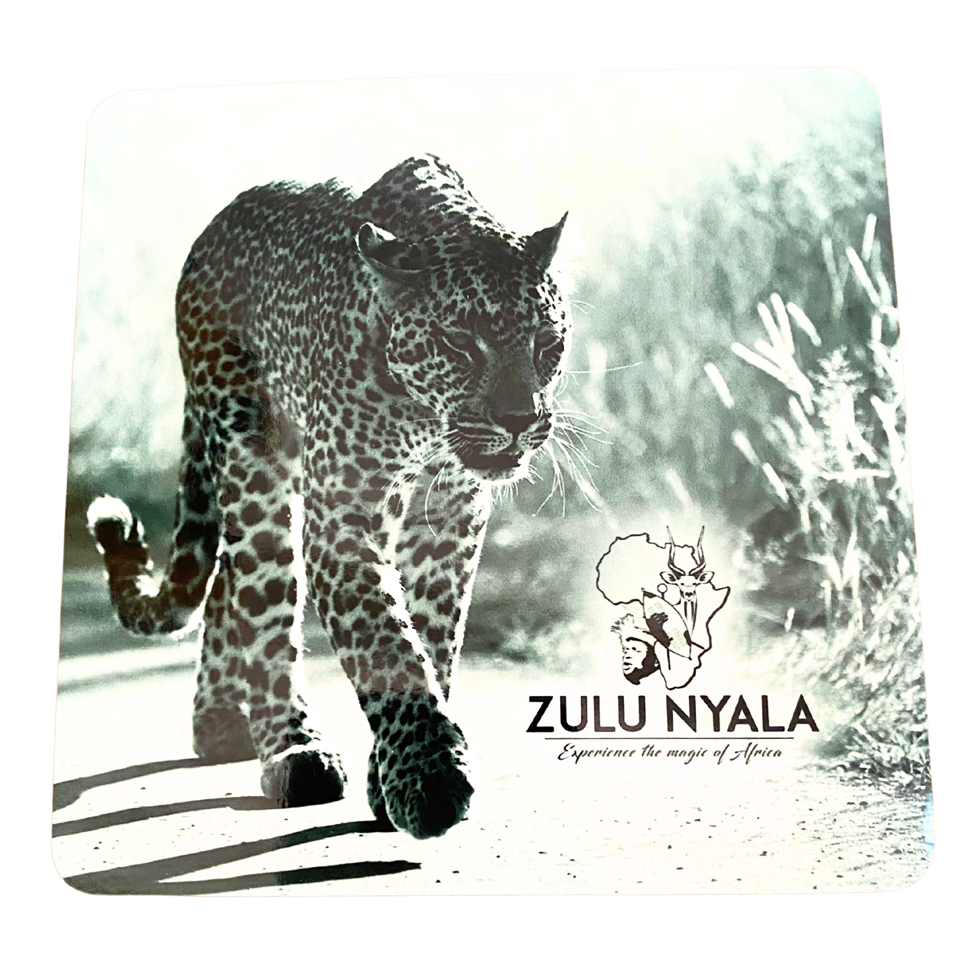 Black & White Wildlife Coasters (Zulu Nyala)