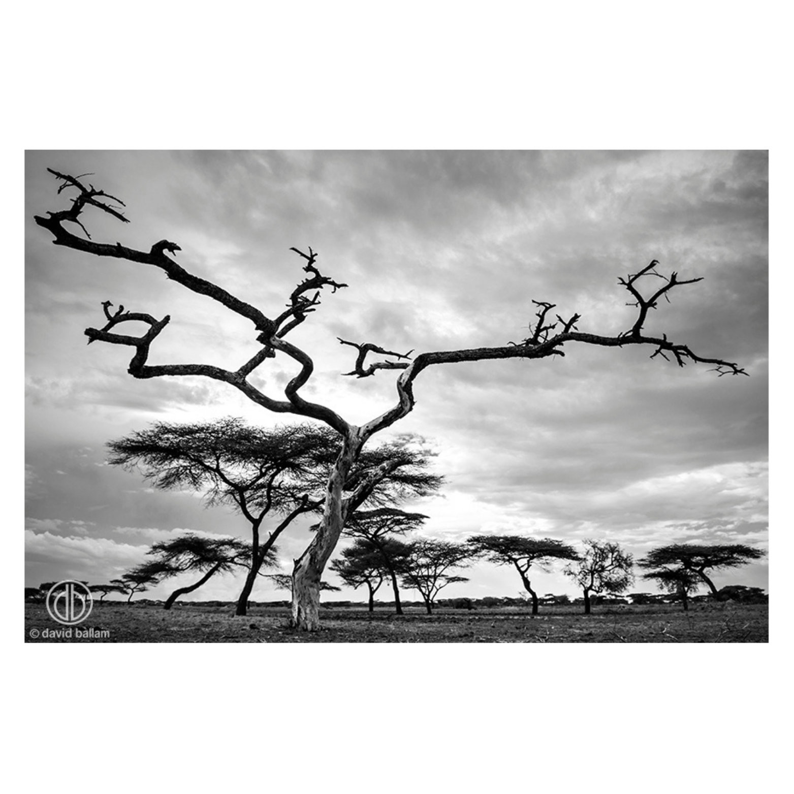 David Ballam Rolled Canvas Prints - Ethiopia's Omo Tribe (120cm x 180cm)