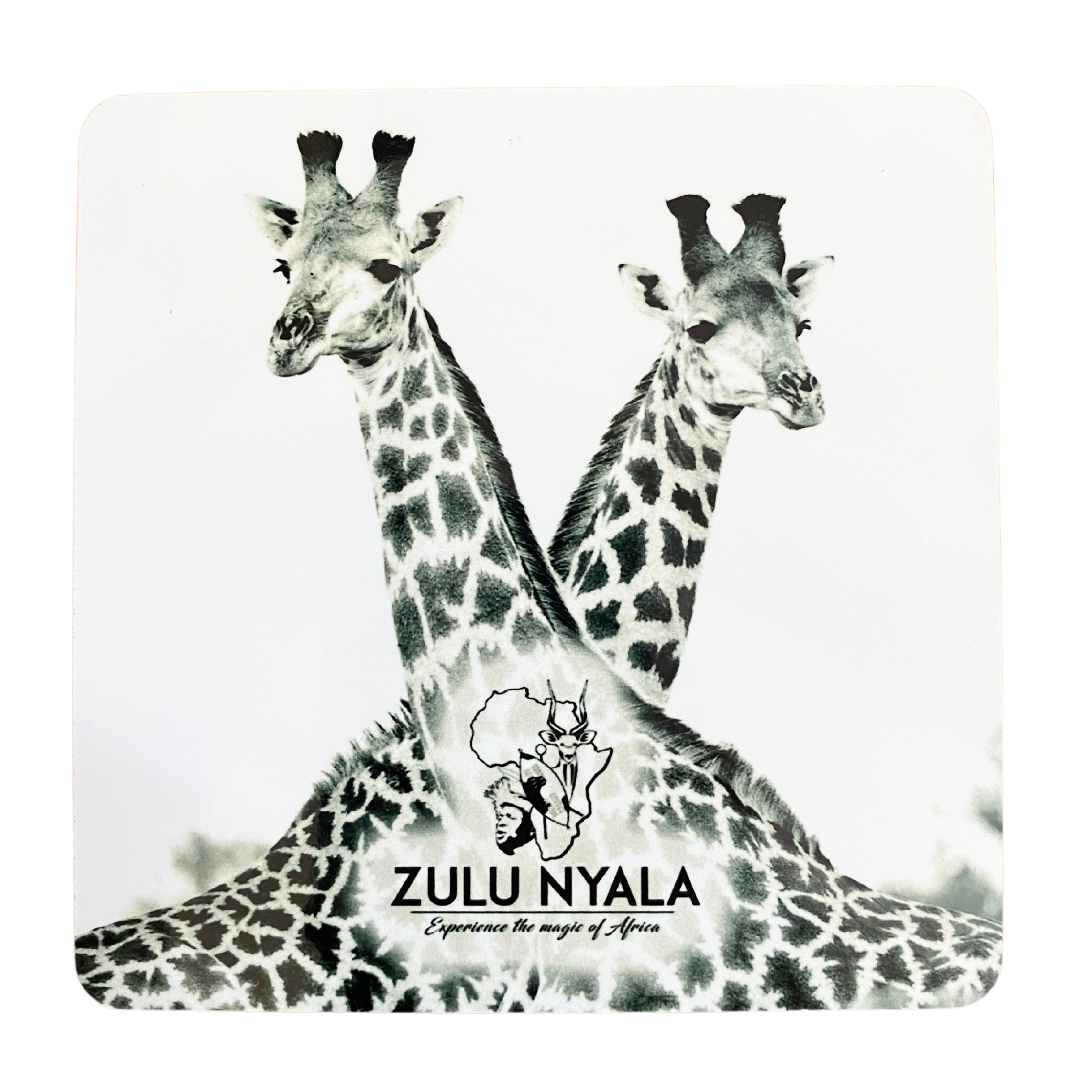 Black & White Wildlife Coasters (Zulu Nyala)