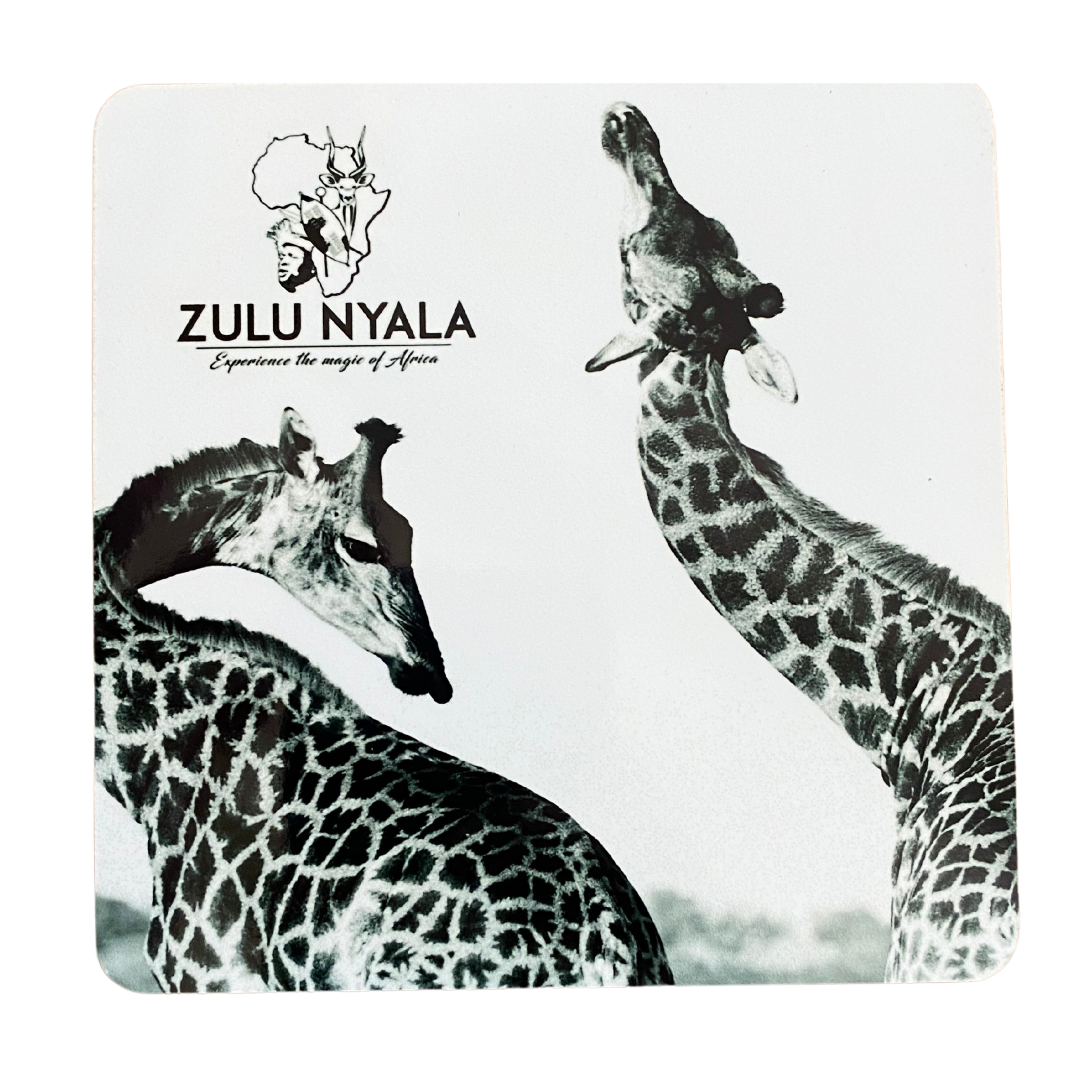 Black & White Wildlife Coasters (Zulu Nyala)