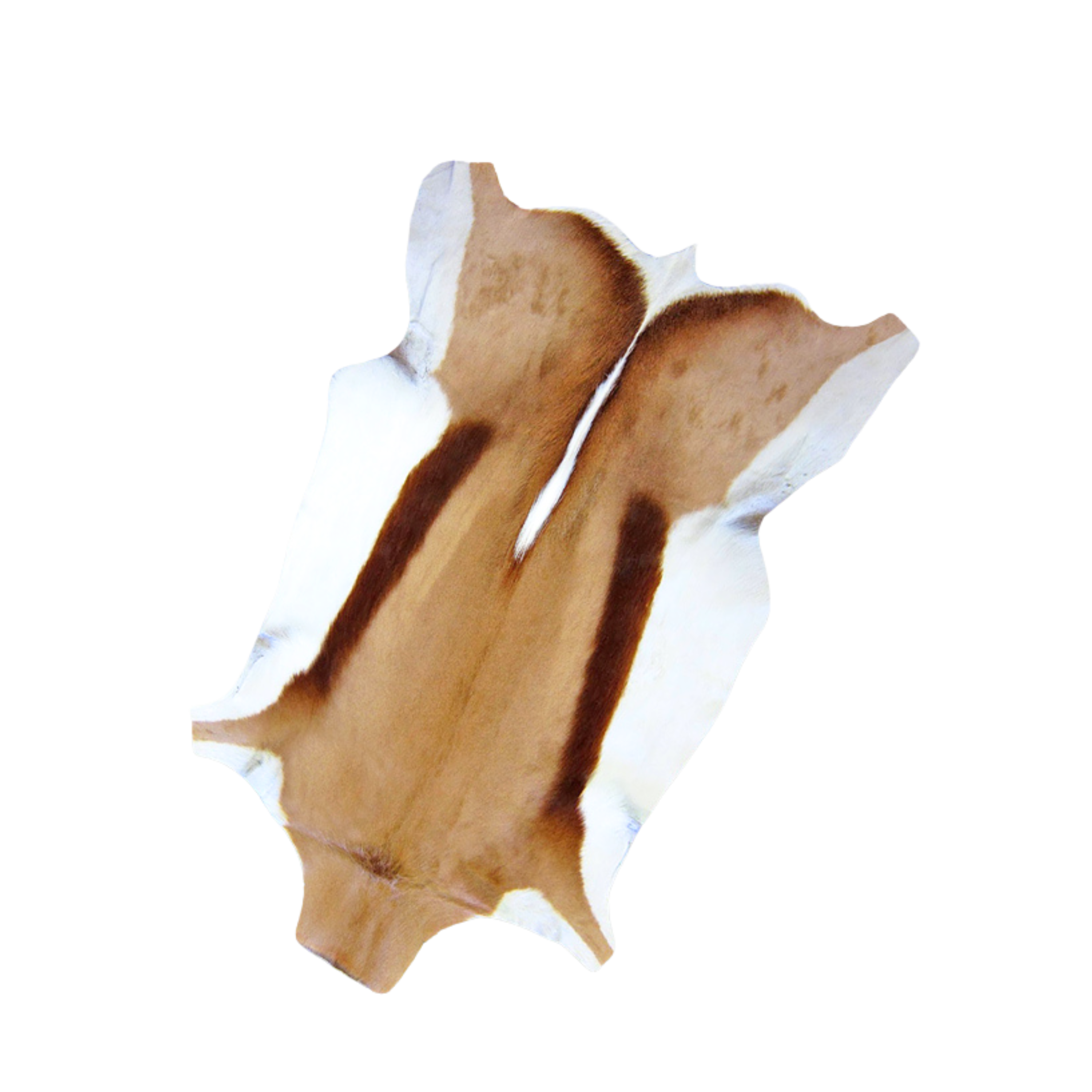 A Grade Springbok Skin