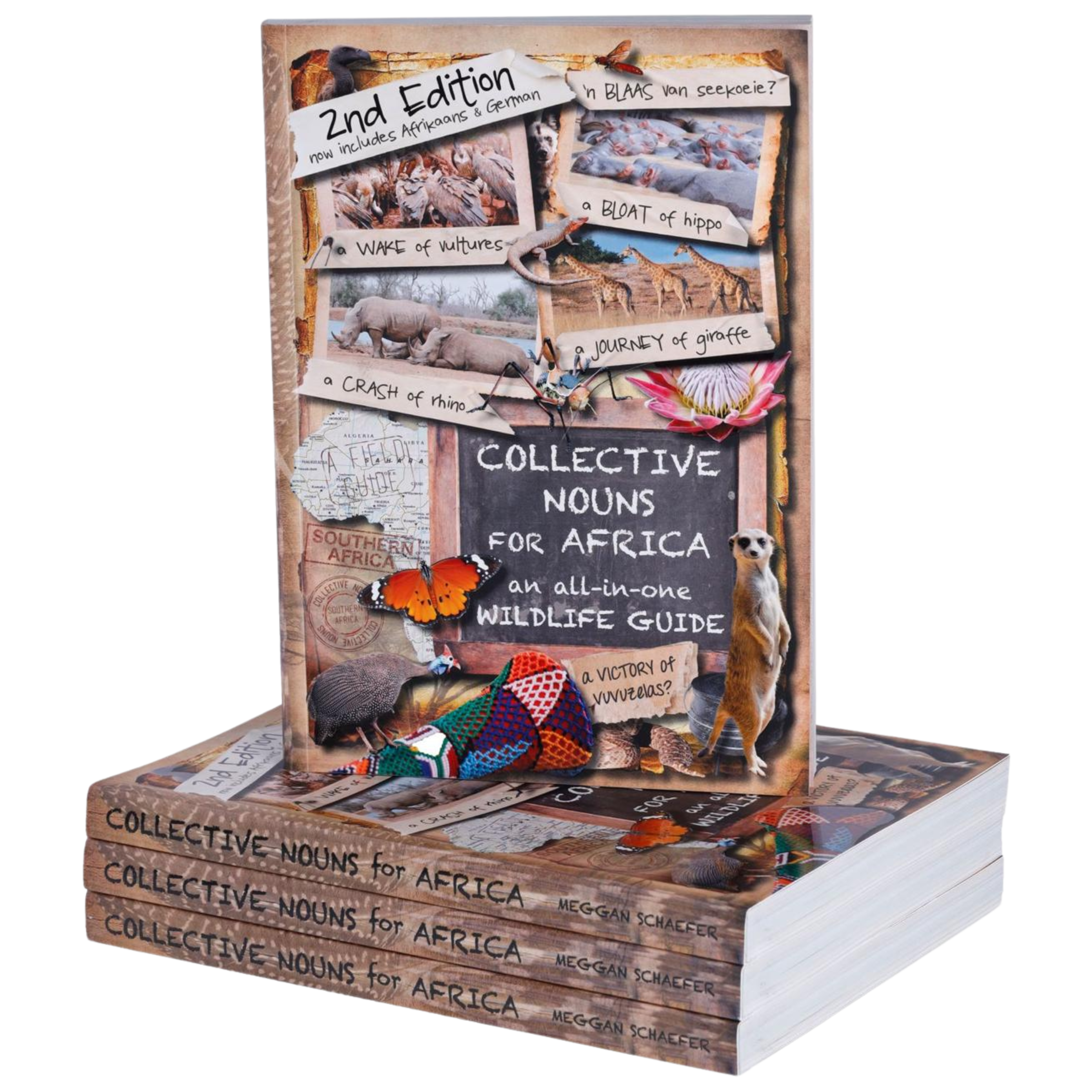 Collective Nouns For Africa Book