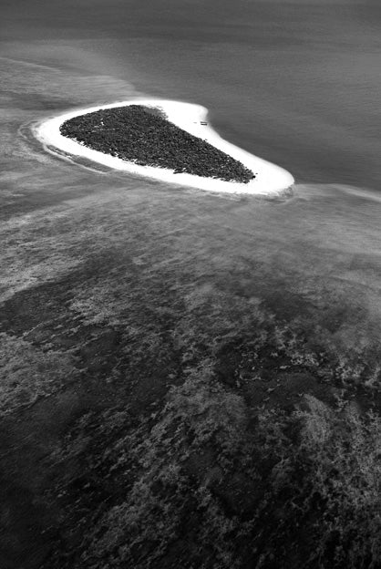 David Ballam Rolled Canvas Prints - Mozambique (120cm x 180cm)