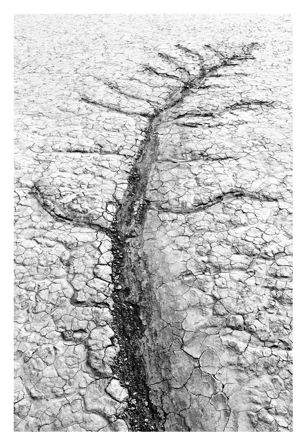 David Ballam Rolled Canvas Prints - Namibia Collection (120cm x 180cm)