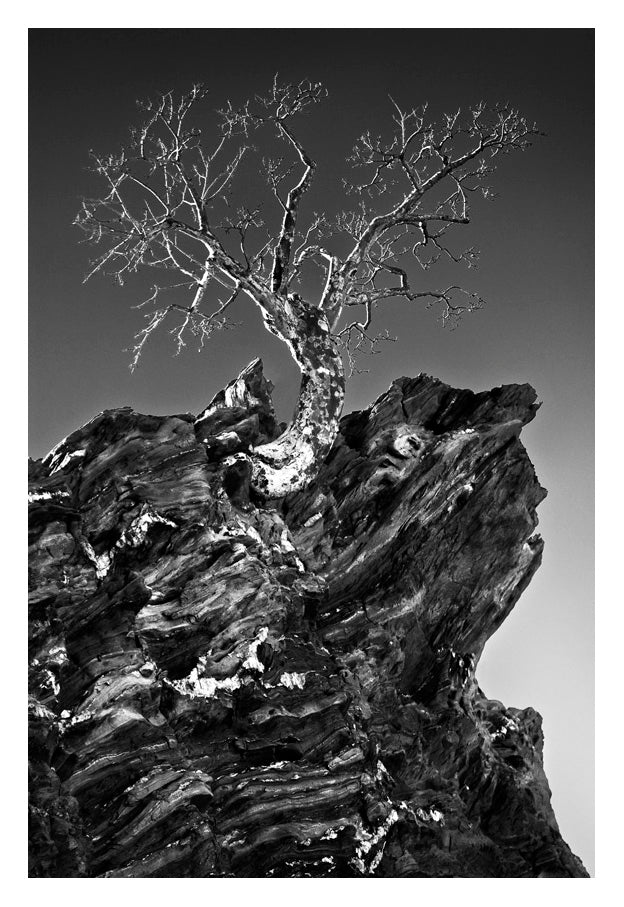 David Ballam Rolled Canvas Prints - Namibia Collection (120cm x 180cm)