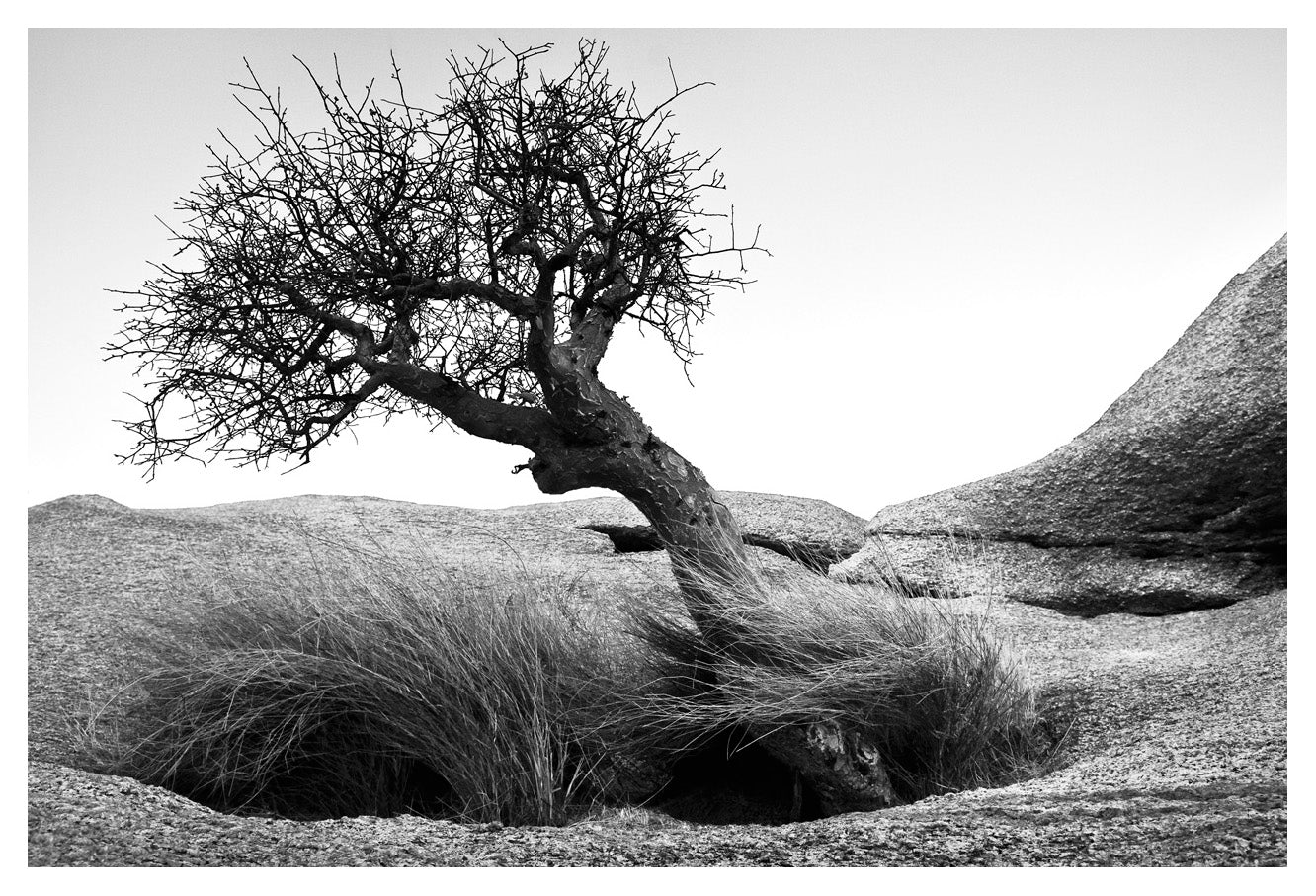 David Ballam Rolled Canvas Prints - Namibia Collection (120cm x 180cm)