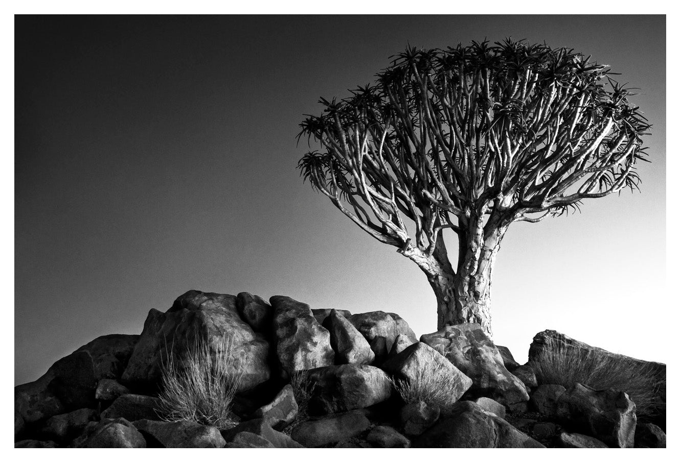 David Ballam Rolled Canvas Prints - Namibia Collection (120cm x 180cm)