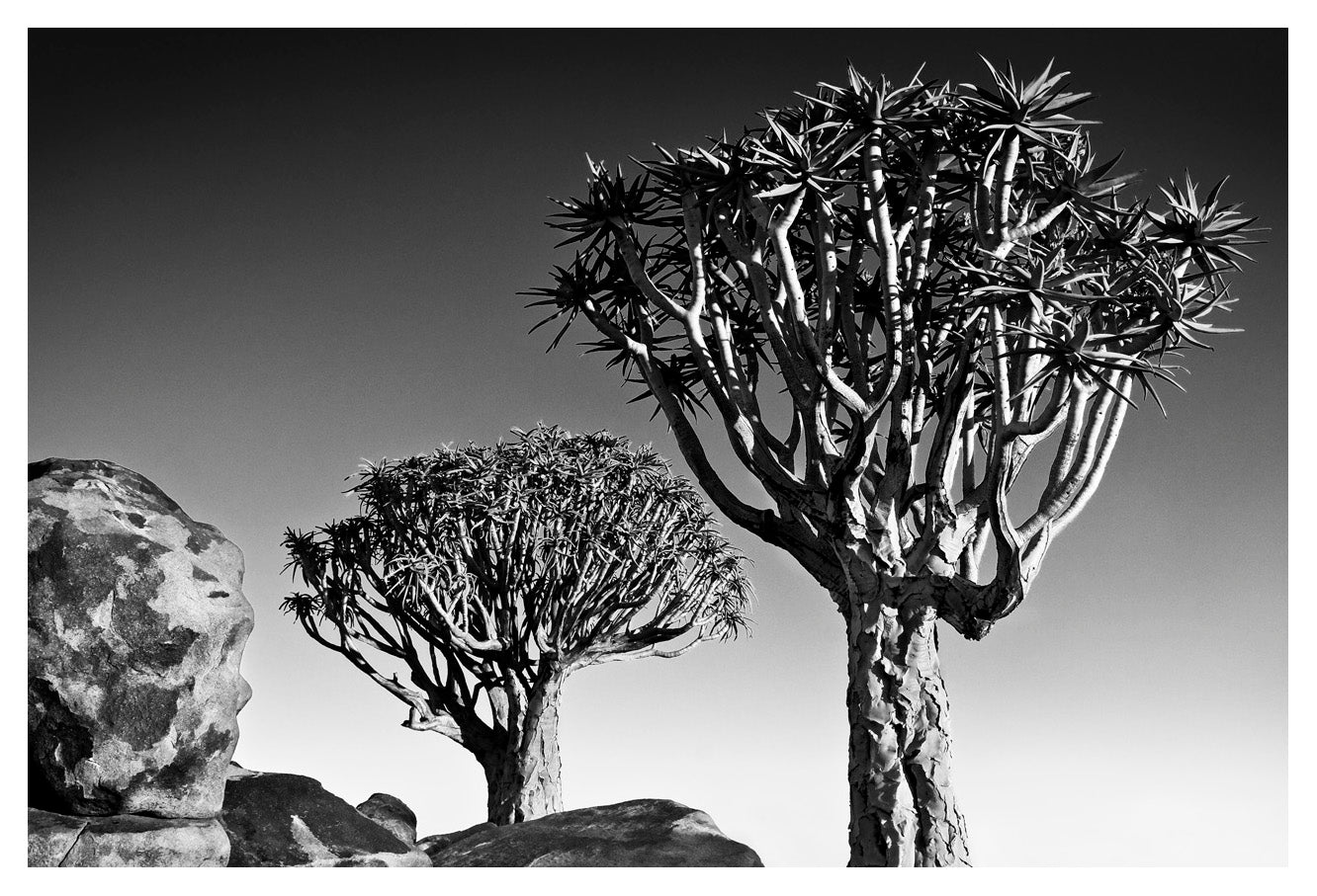 David Ballam Rolled Canvas Prints - Namibia Collection (120cm x 180cm)