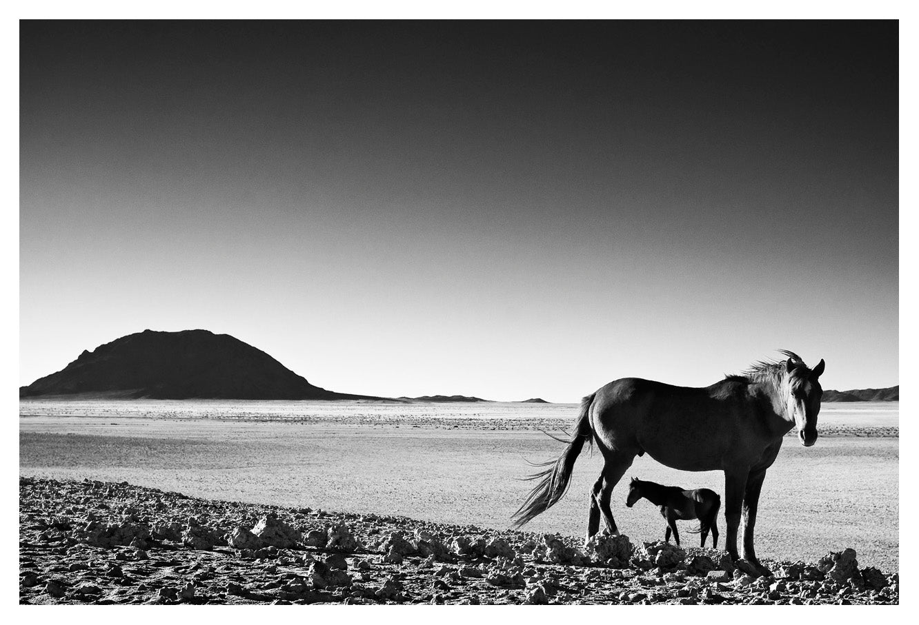 David Ballam Rolled Canvas Prints - Namibia Collection (120cm x 180cm)