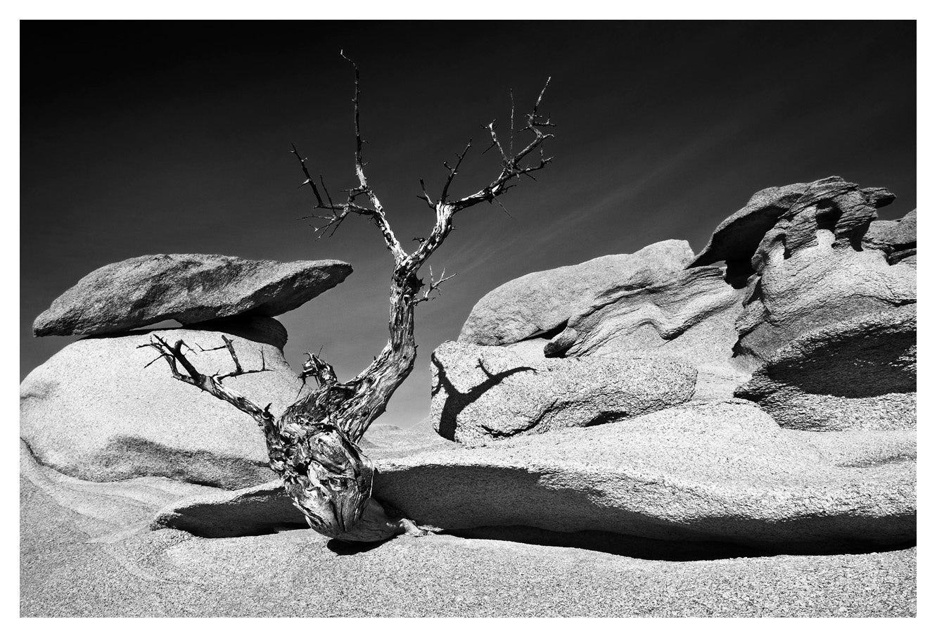 David Ballam Rolled Canvas Prints - Namibia Collection (120cm x 180cm)