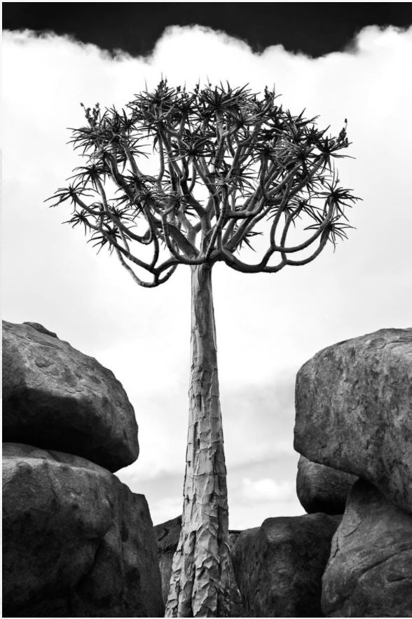 David Ballam Rolled Canvas Prints - Namibia Collection (120cm x 180cm)