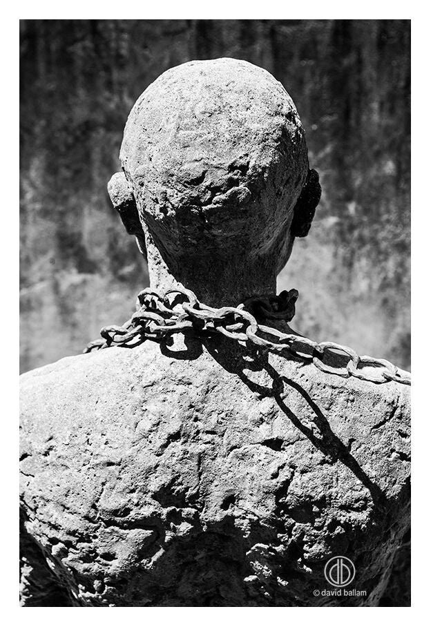 David Ballam Rolled Canvas Prints - Zanzibar On Land Collection (120cm x 180cm)