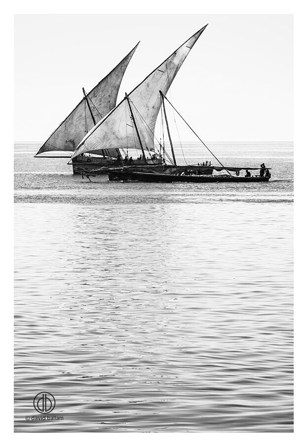 David Ballam Rolled Canvas Prints - Zanzibar At Sea Collection (120cm x 180cm)