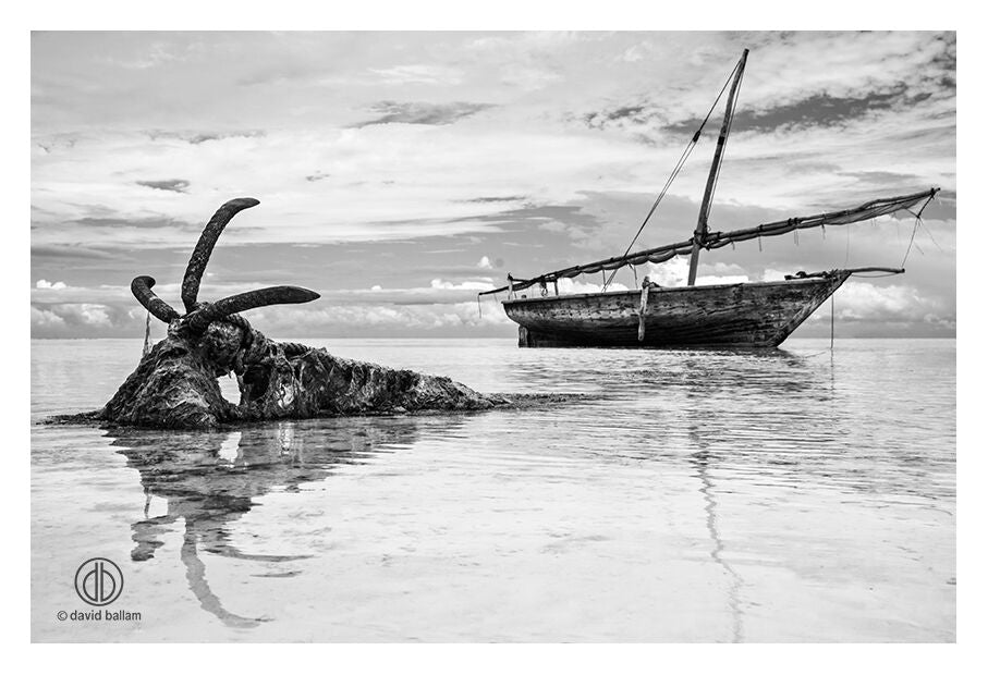 David Ballam Rolled Canvas Prints - Zanzibar At Sea Collection (120cm x 180cm)