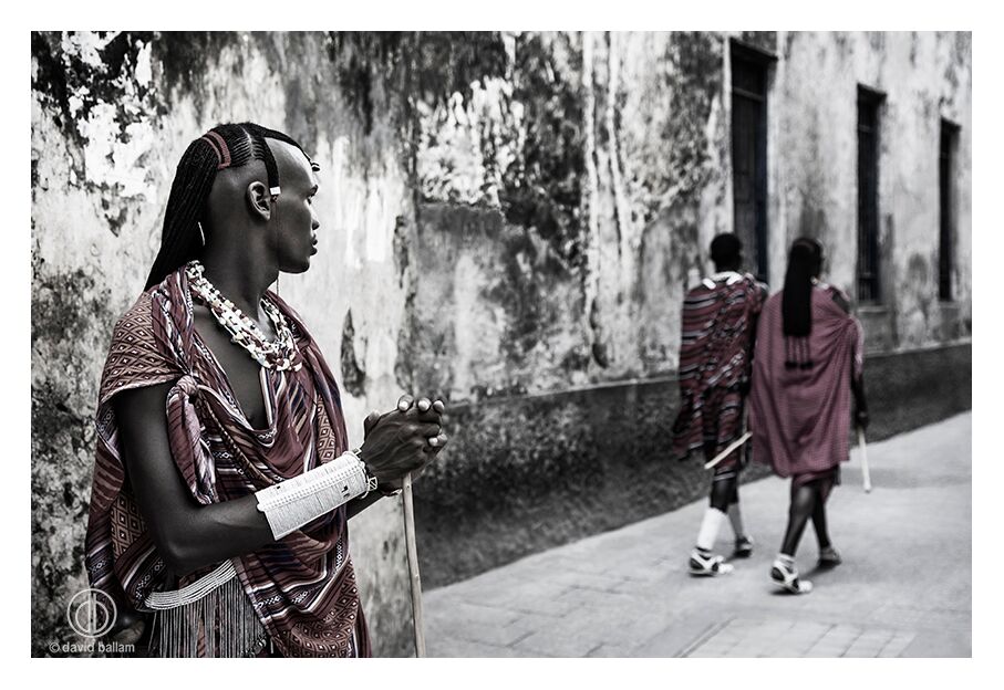 David Ballam Rolled Canvas Prints - Zanzibar On Land Collection (120cm x 180cm)