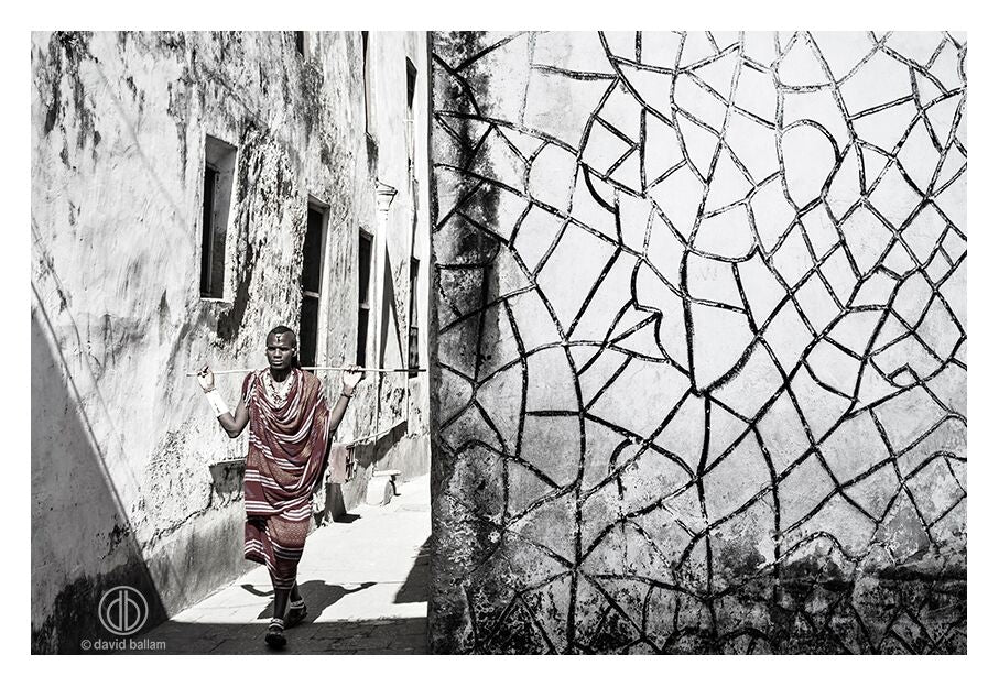 David Ballam Rolled Canvas Prints - Zanzibar On Land Collection (120cm x 180cm)