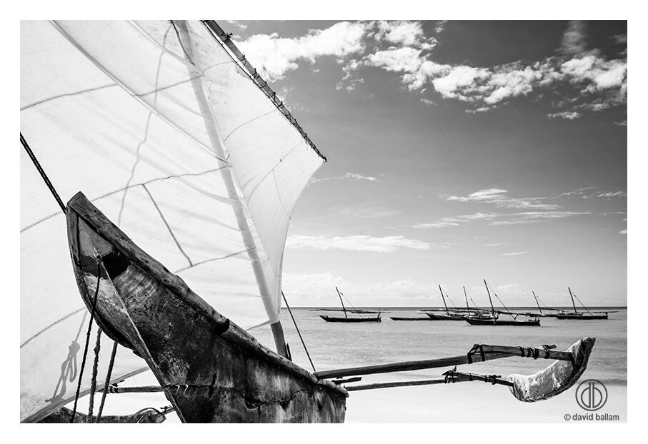 David Ballam Rolled Canvas Prints - Zanzibar At Sea Collection (120cm x 180cm)