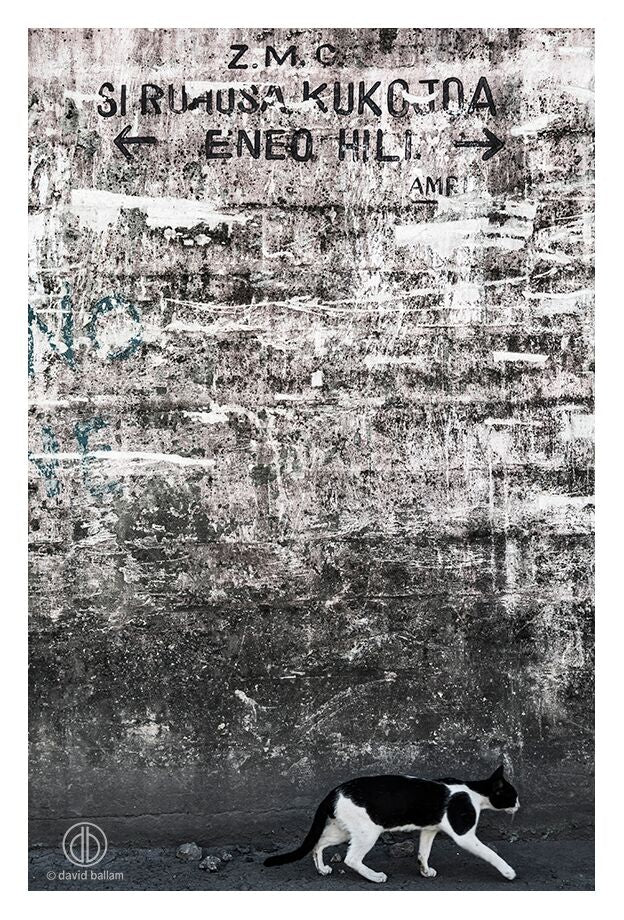 David Ballam Rolled Canvas Prints - Zanzibar On Land Collection (120cm x 180cm)