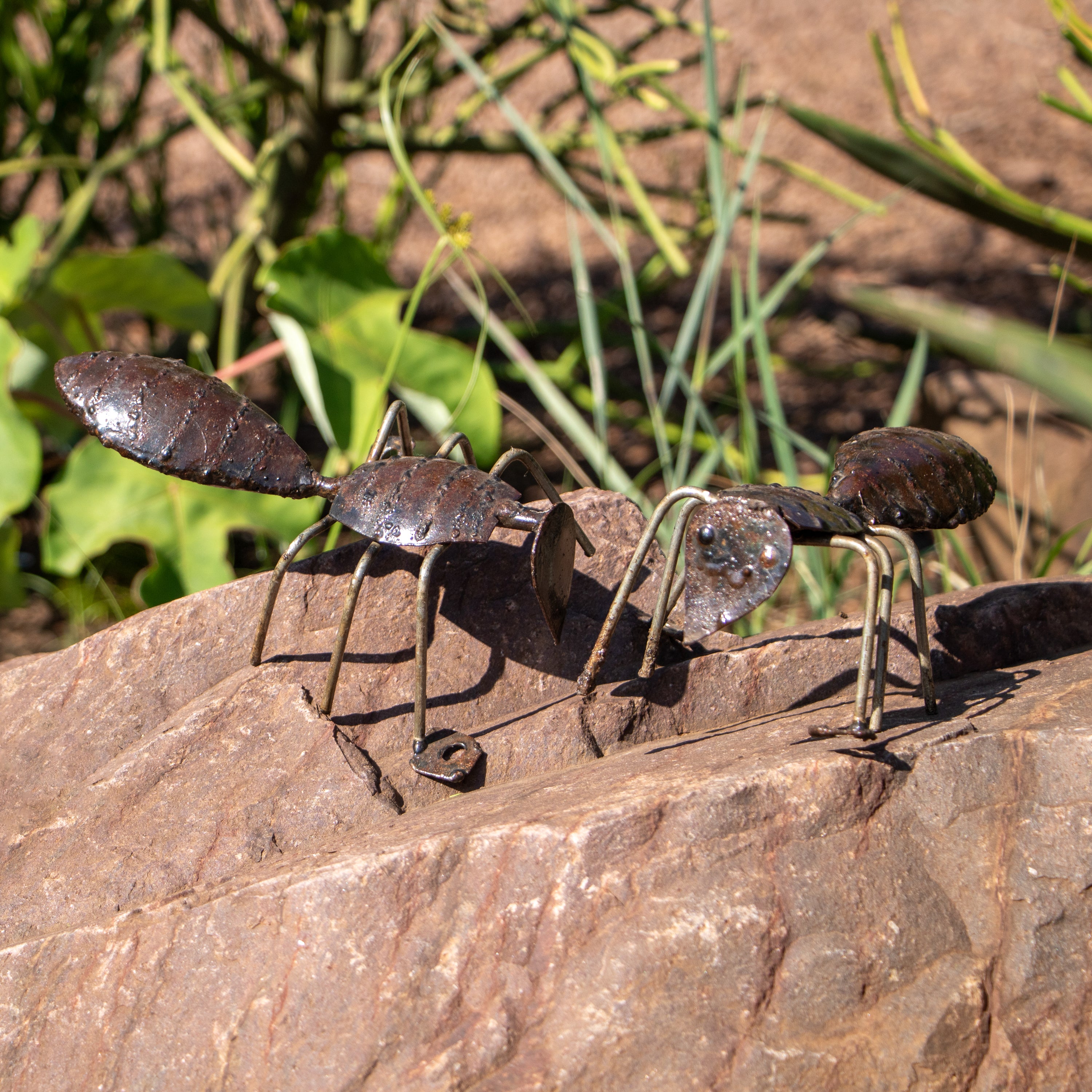 Outdoor Steel Ant Garden Sculpture