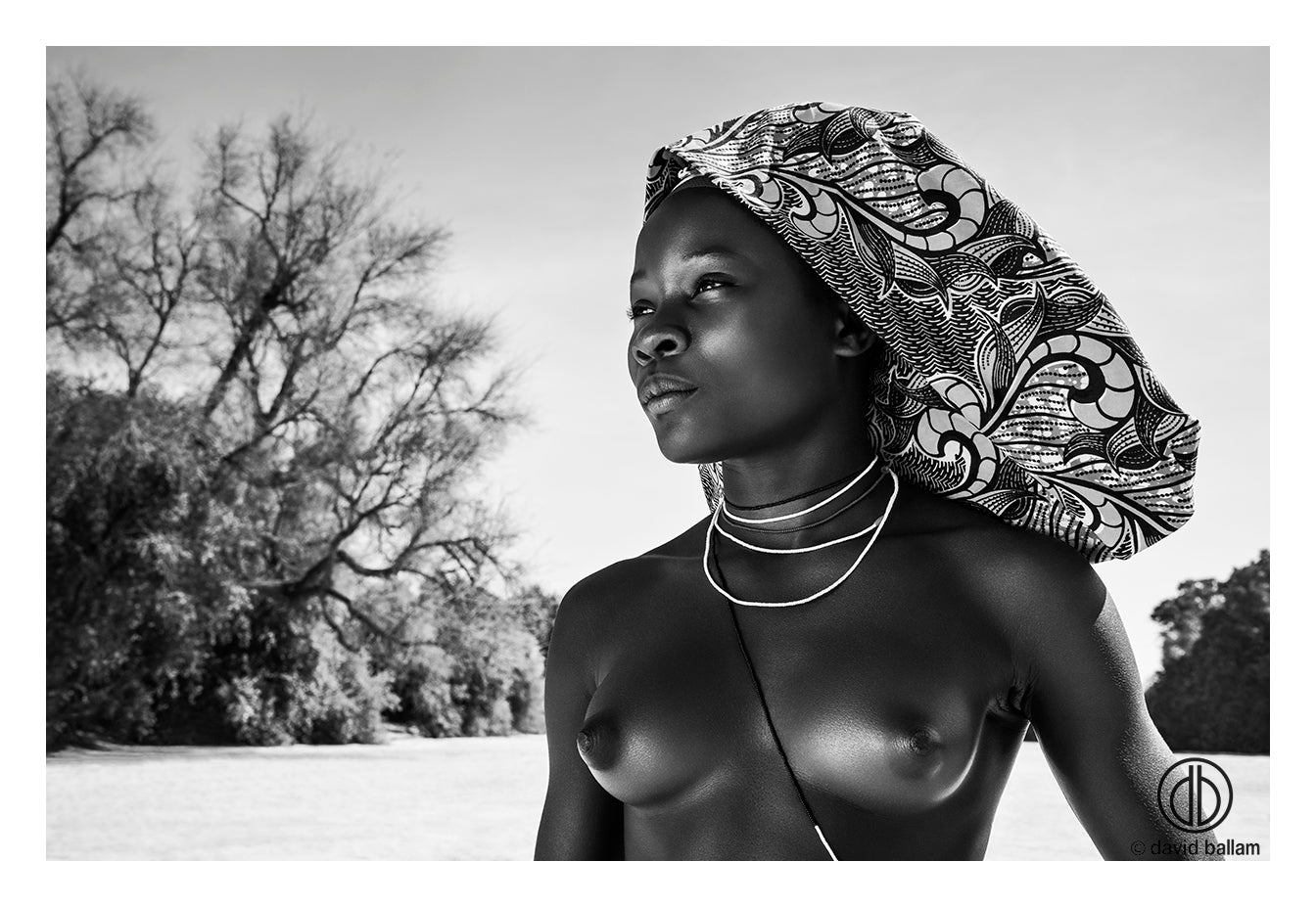 David Ballam Rolled Canvas Prints - Angola Collection (120cm x 80cm)