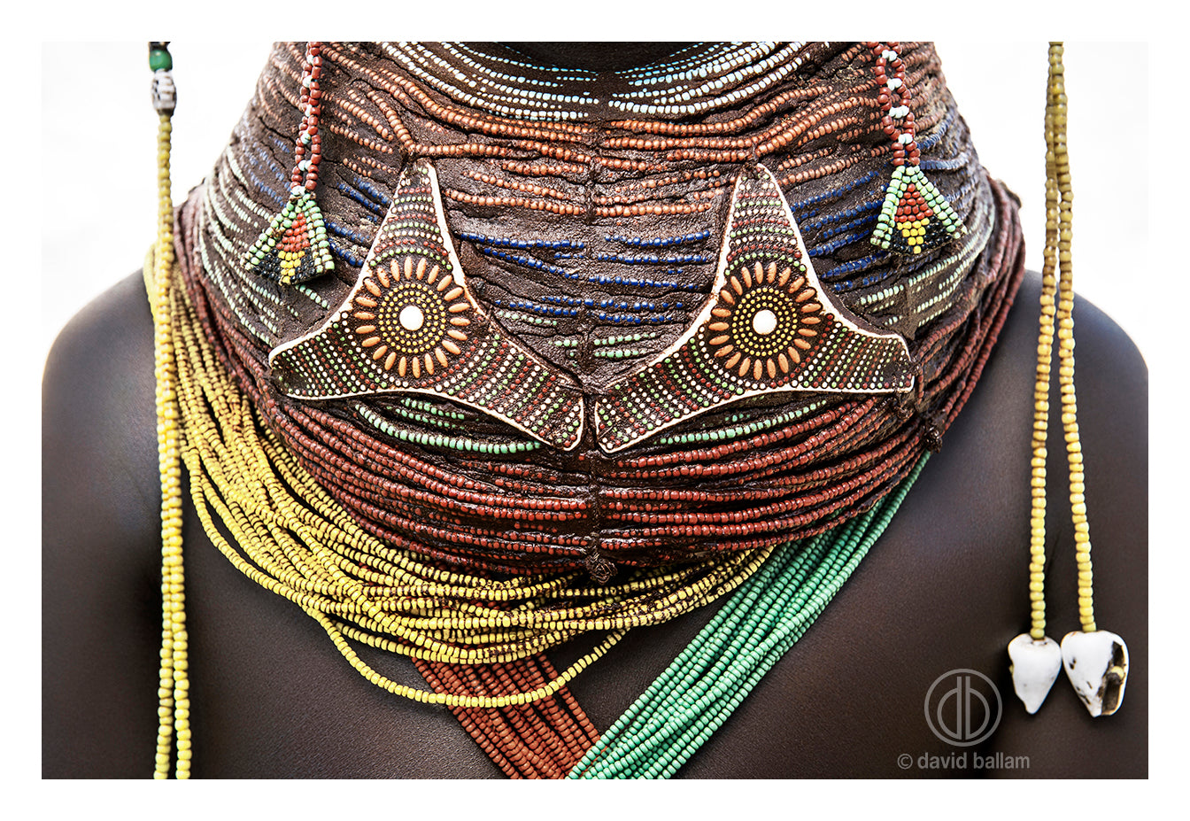 David Ballam Rolled Canvas Prints - Angola Collection (120cm x 80cm)