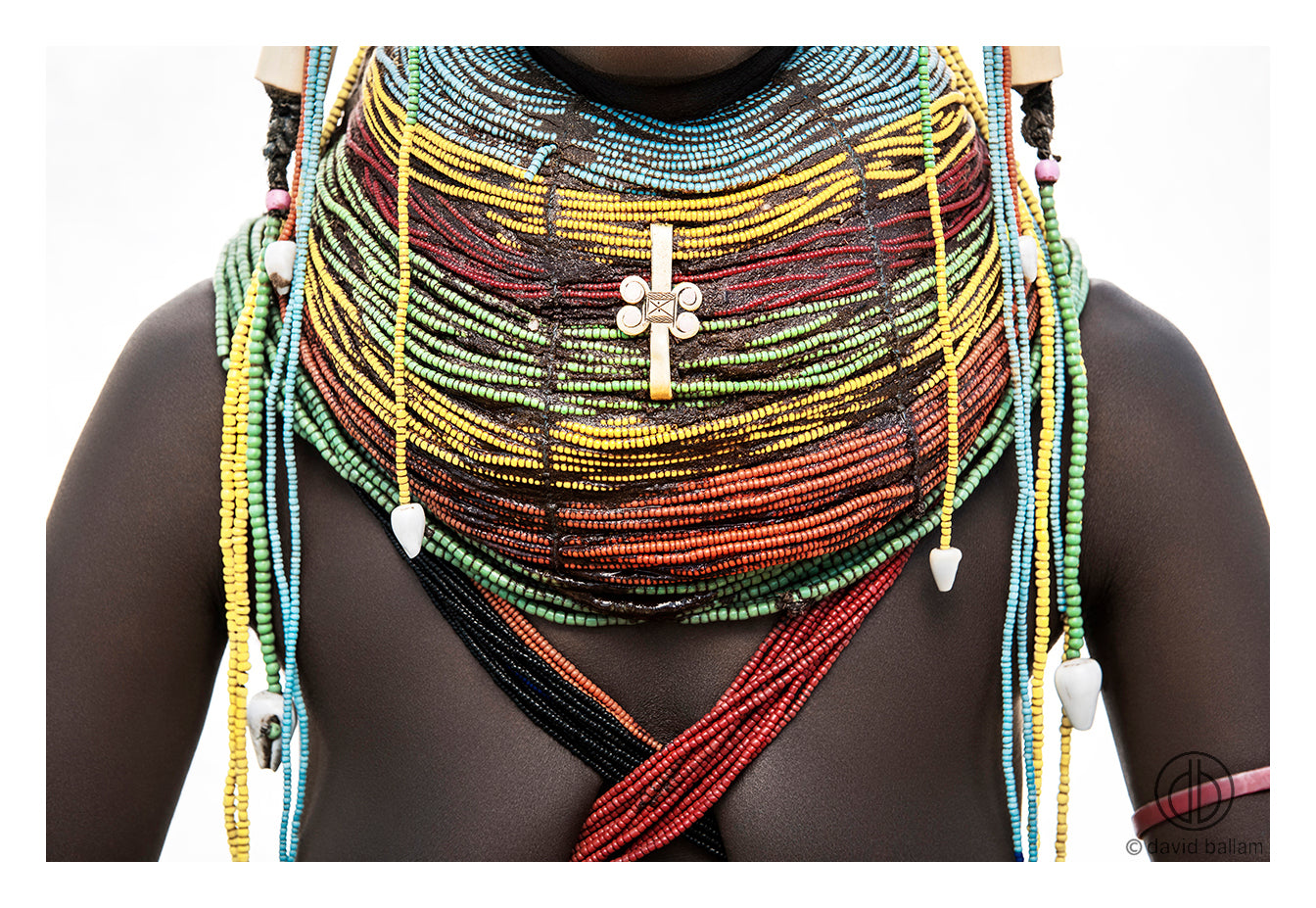 David Ballam Rolled Canvas Prints - Angola Collection (120cm x 80cm)