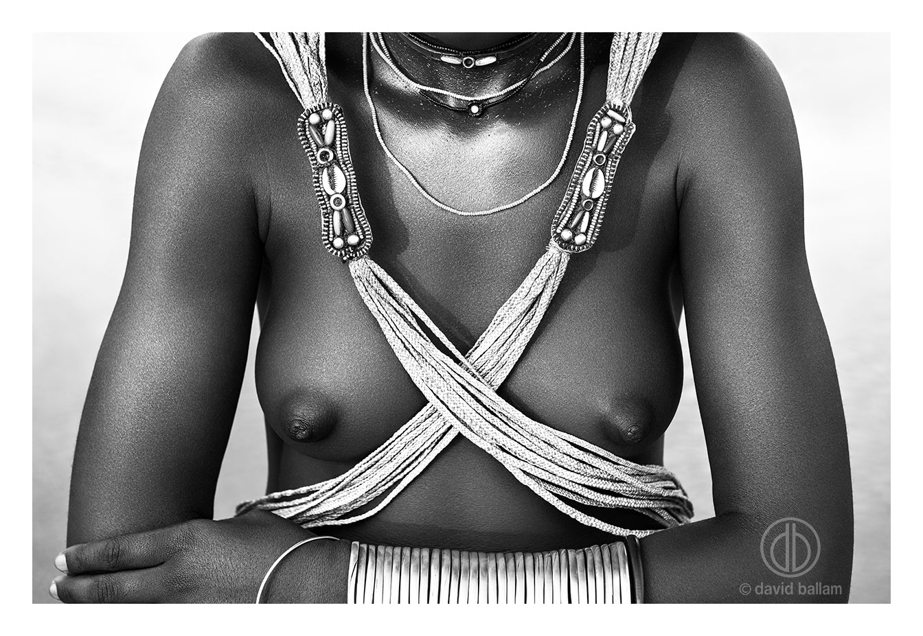 David Ballam Rolled Canvas Prints - Angola Collection (120cm x 80cm)