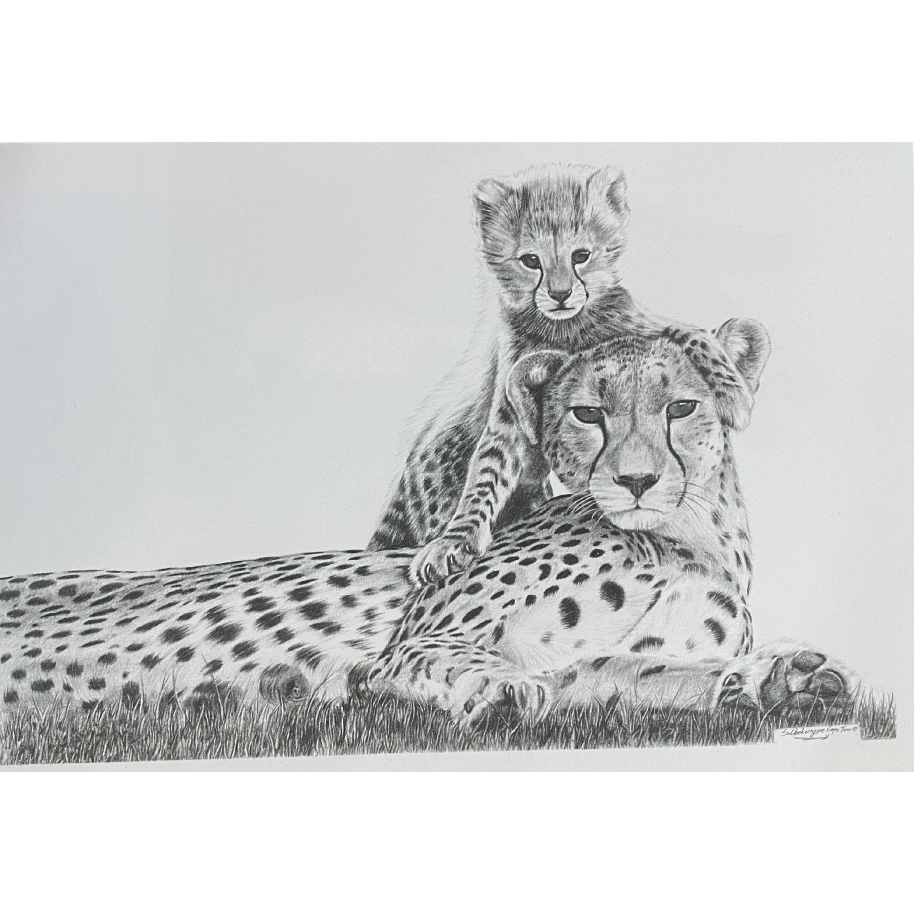 Hand Drawn Pencil Artwork Prints - Shadrack Chekenyere (Cheetah)