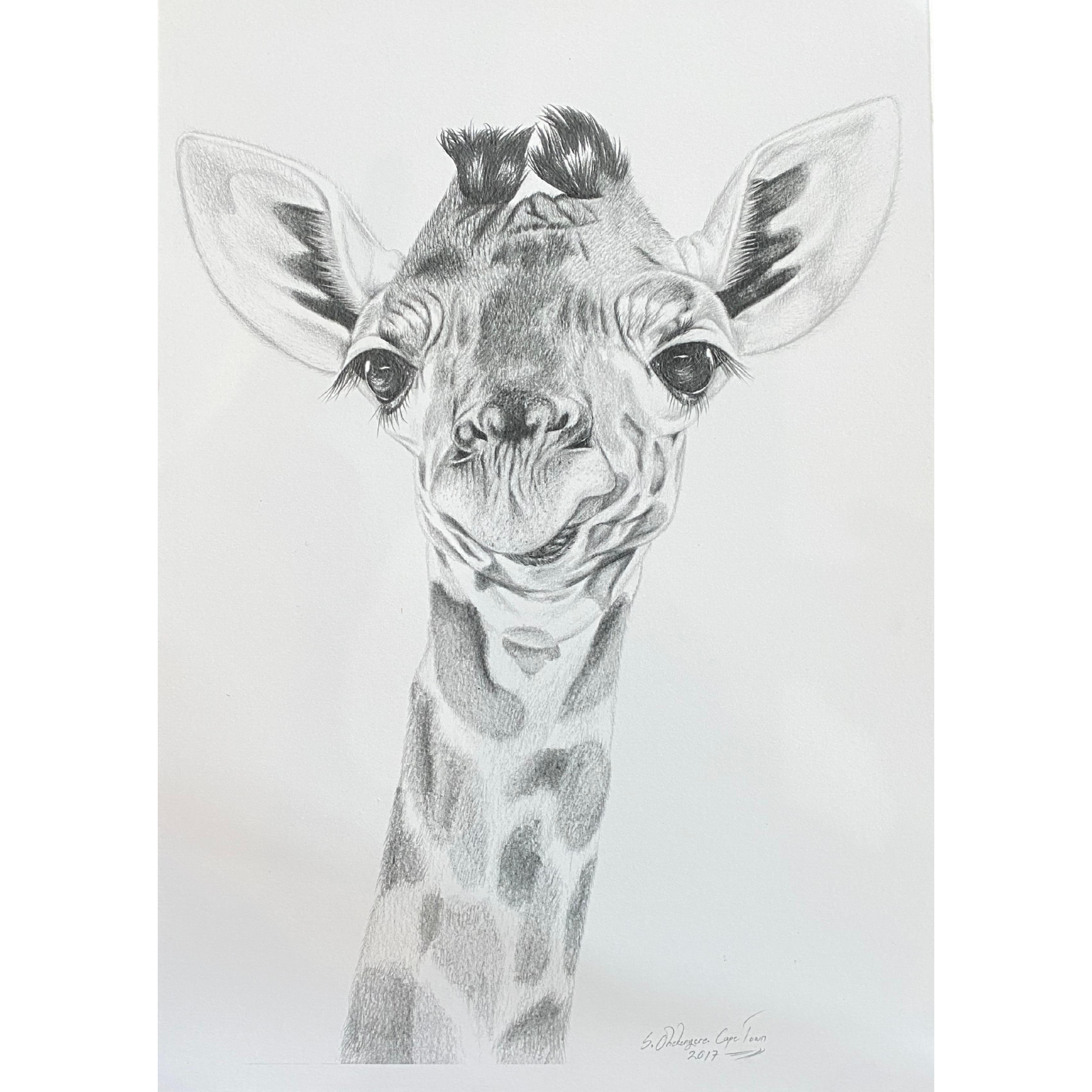 Hand Drawn Pencil Artwork Prints - Shadrack Chekenyere (Giraffe)