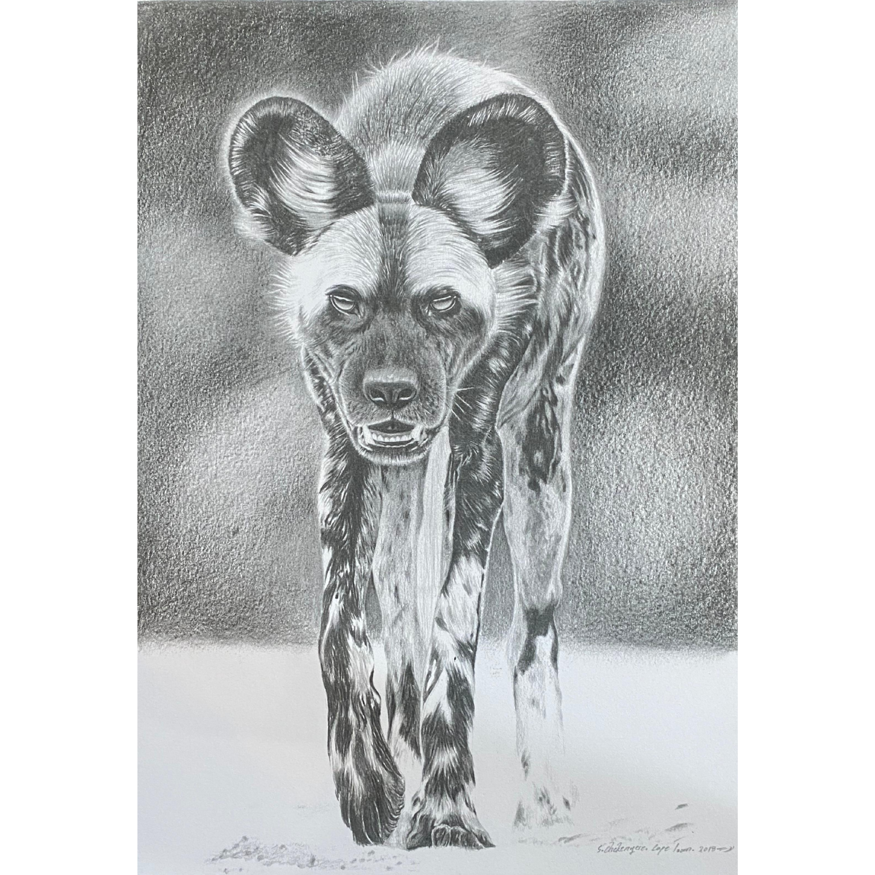 Hand Drawn Pencil Artwork Prints - Shadrack Chekenyere (Wild Dog)
