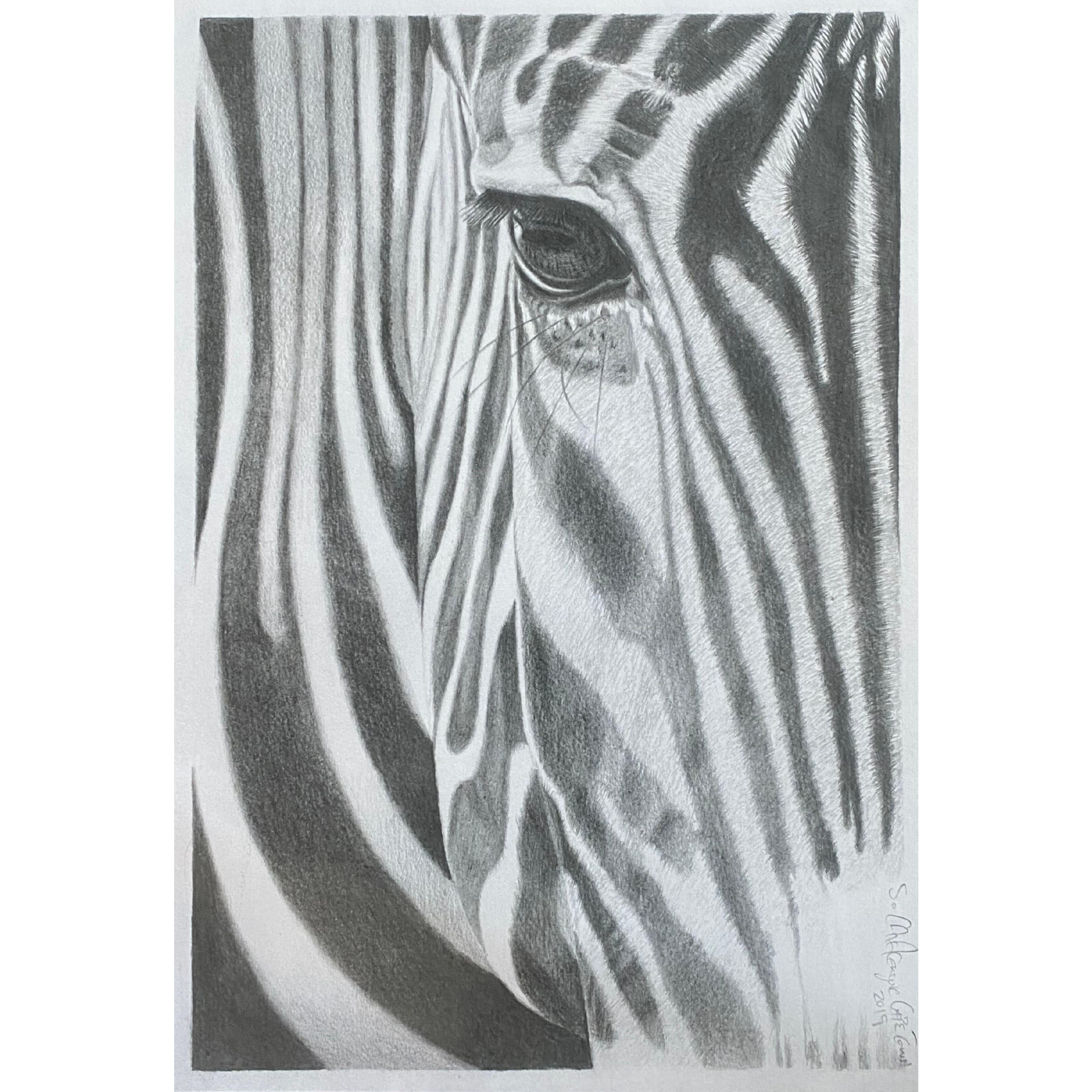 Hand Drawn Pencil Artwork Prints - Shadrack Chekenyere (Zebra)