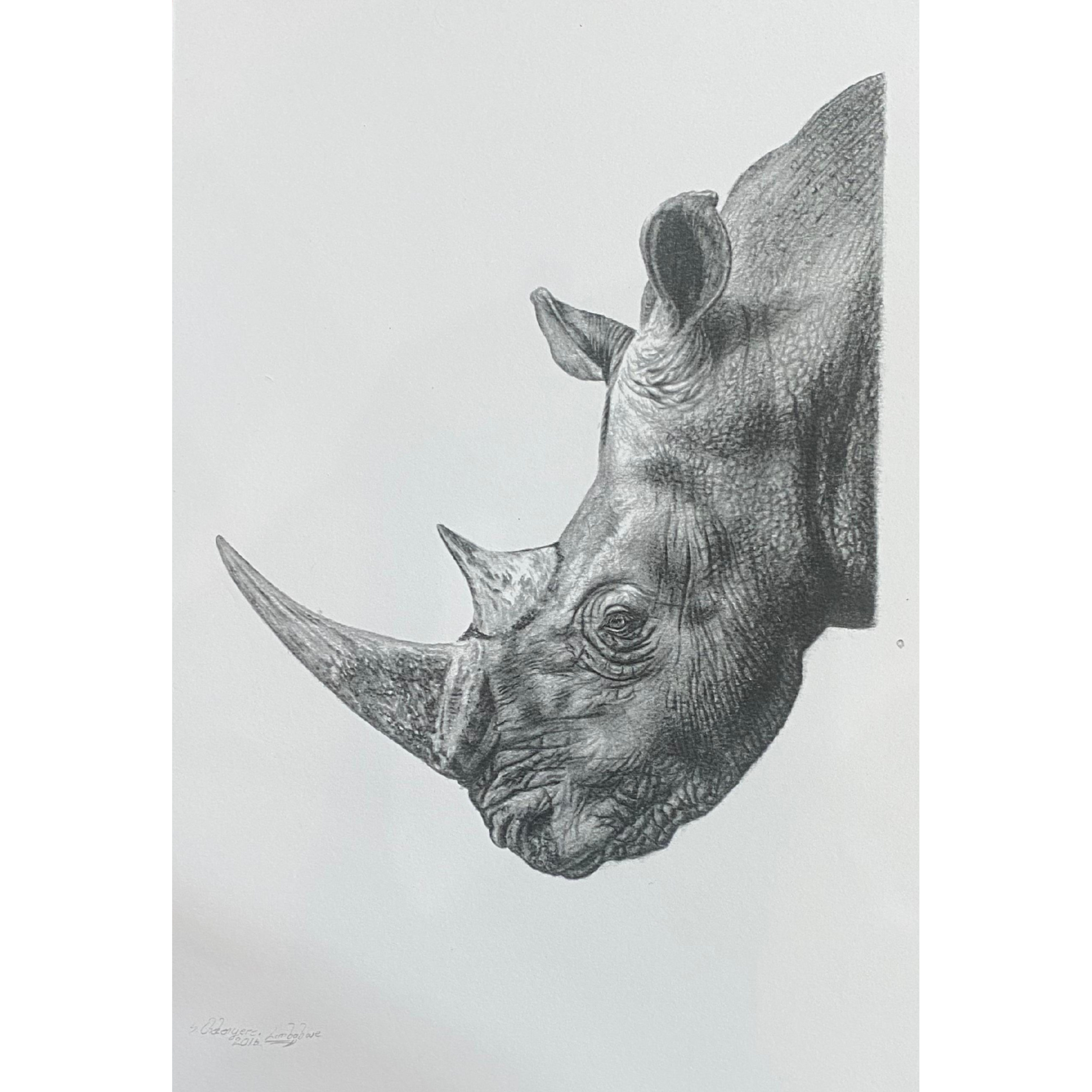 Hand Drawn Pencil Artwork Prints - Shadrack Chekenyere (Rhino)