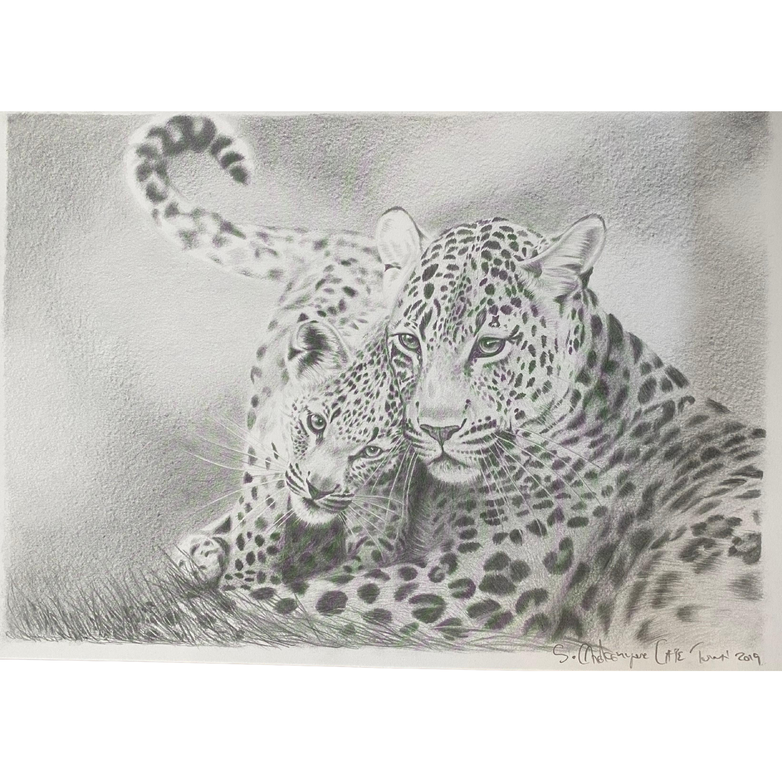 Hand Drawn Pencil Artwork Prints - Shadrack Chekenyere (Leopard)