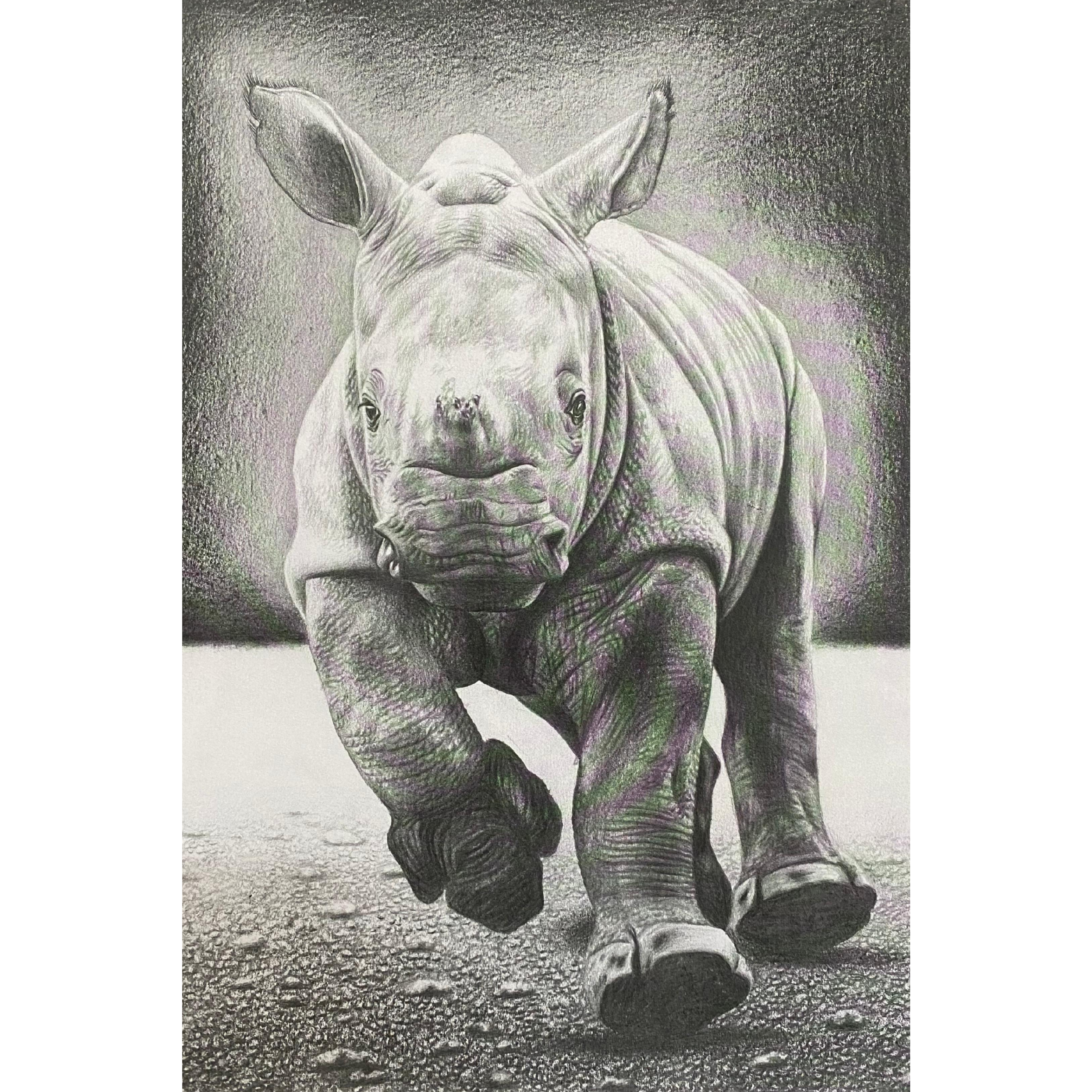 Hand Drawn Pencil Artwork Prints - Shadrack Chekenyere (Rhino)
