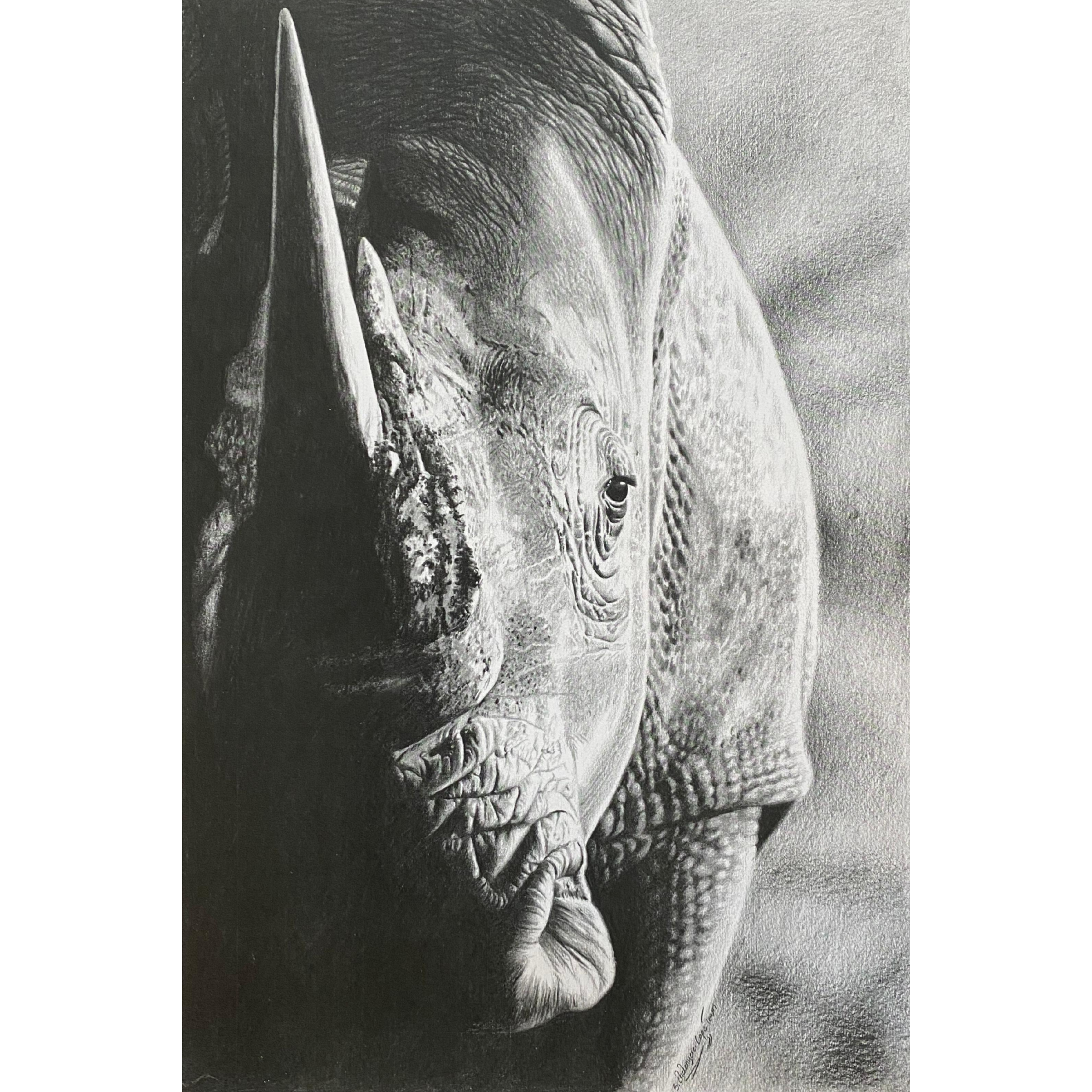 Hand Drawn Pencil Artwork Prints - Shadrack Chekenyere (Rhino)