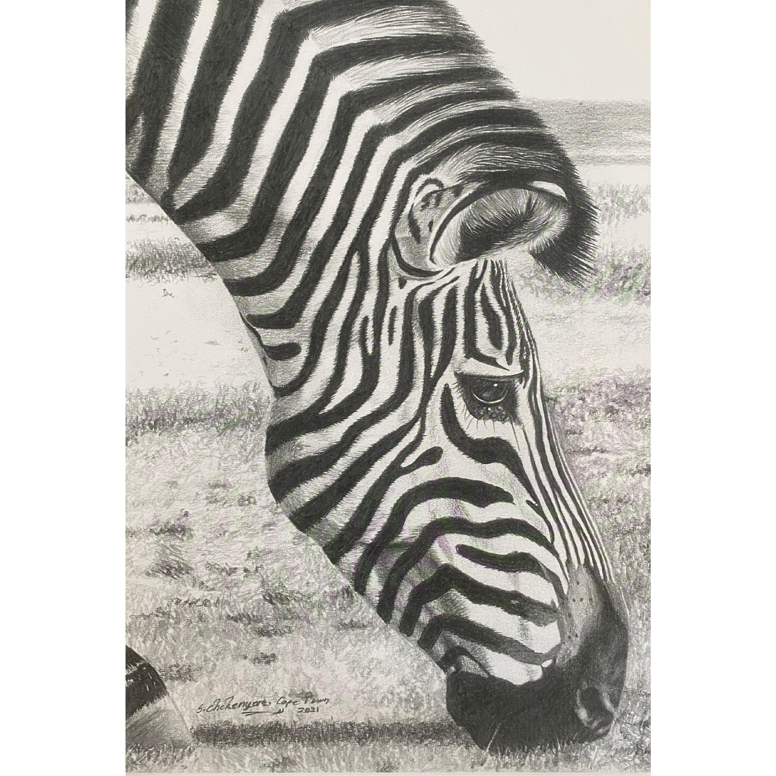 Hand Drawn Pencil Artwork Prints - Shadrack Chekenyere (Zebra)
