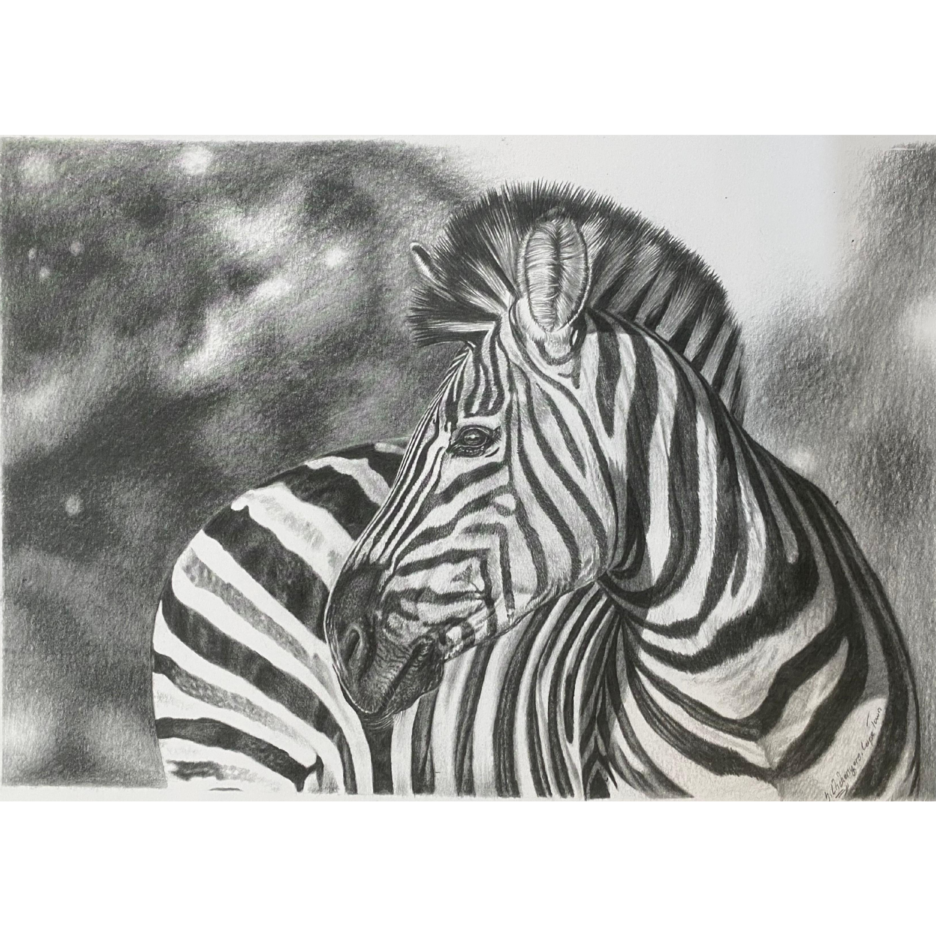 Hand Drawn Pencil Artwork Prints - Shadrack Chekenyere (Zebra)