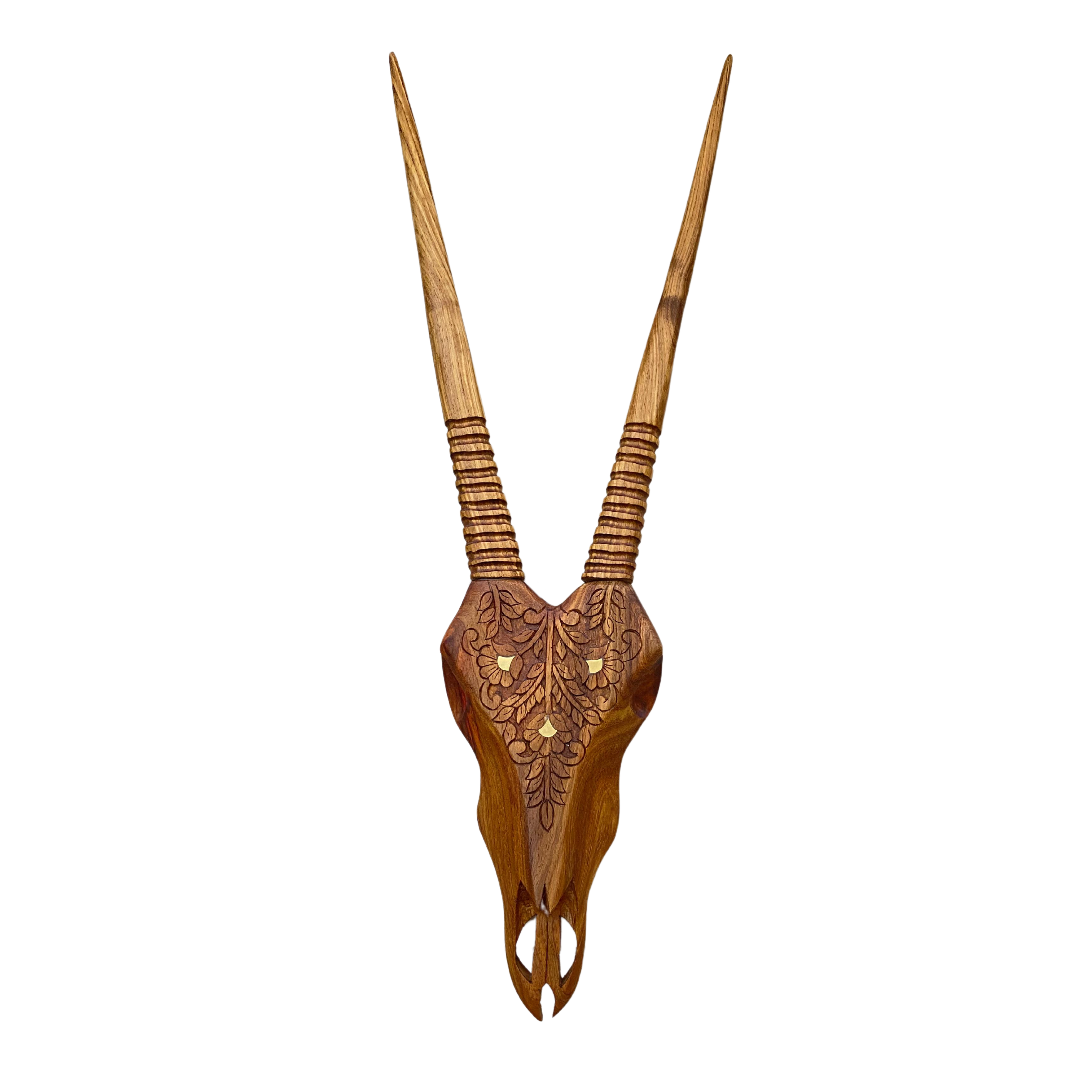 Hand Carved Gemsbok Skull With Brass Inlay