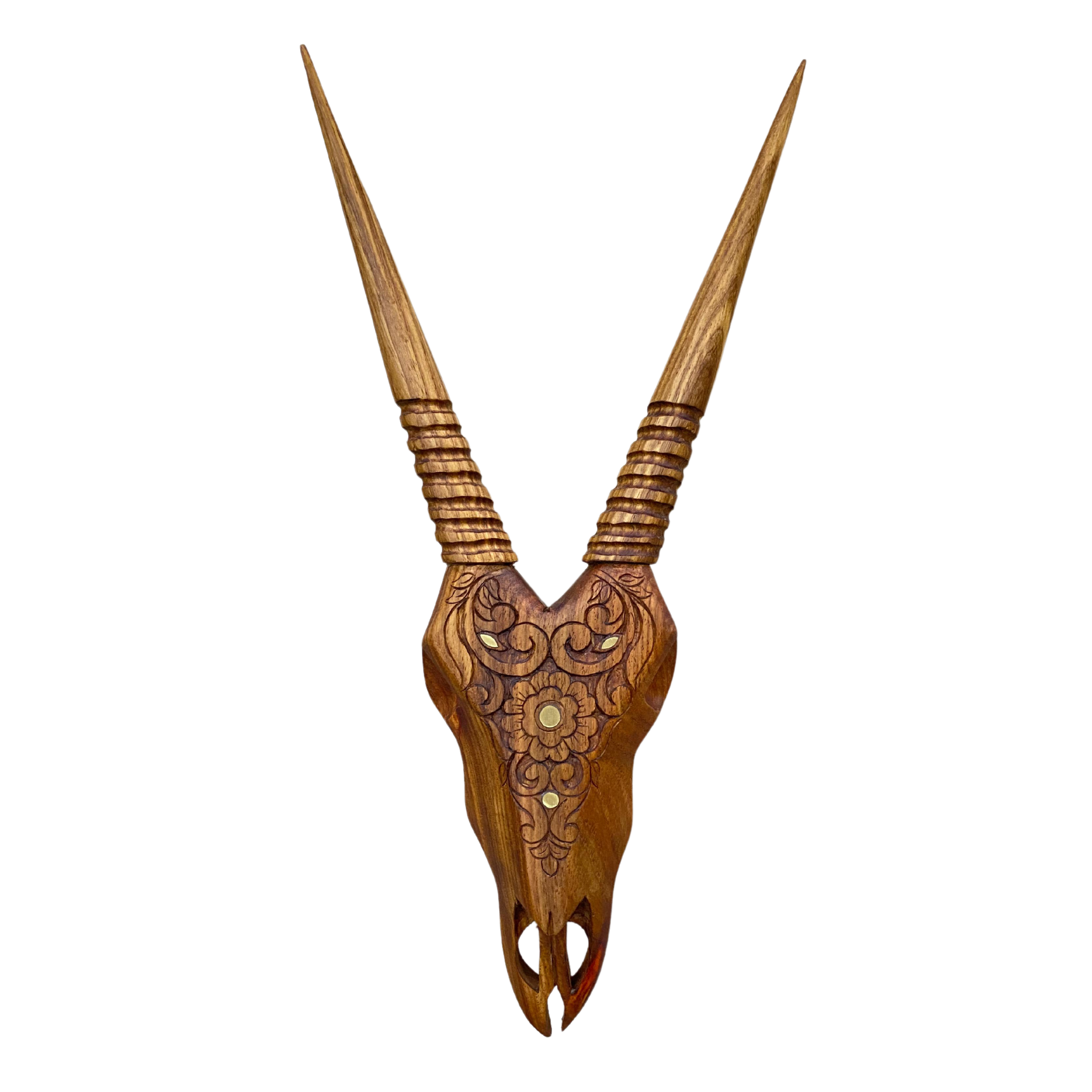 Hand Carved Gemsbok Skull With Brass Inlay