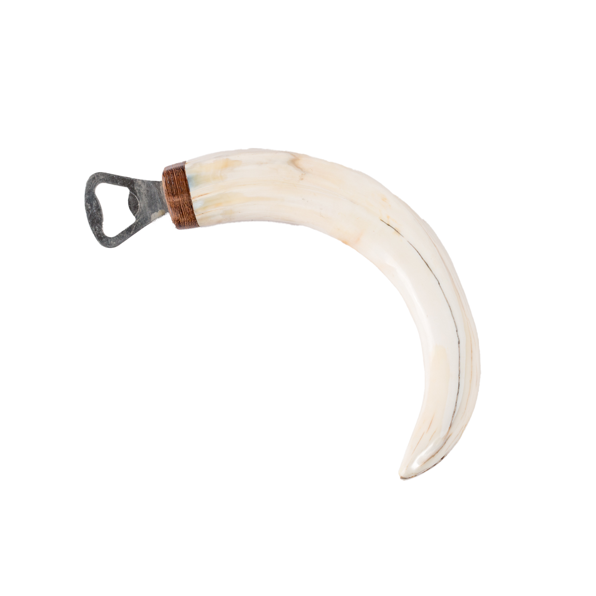 Warthog Tusk Bottle Opener