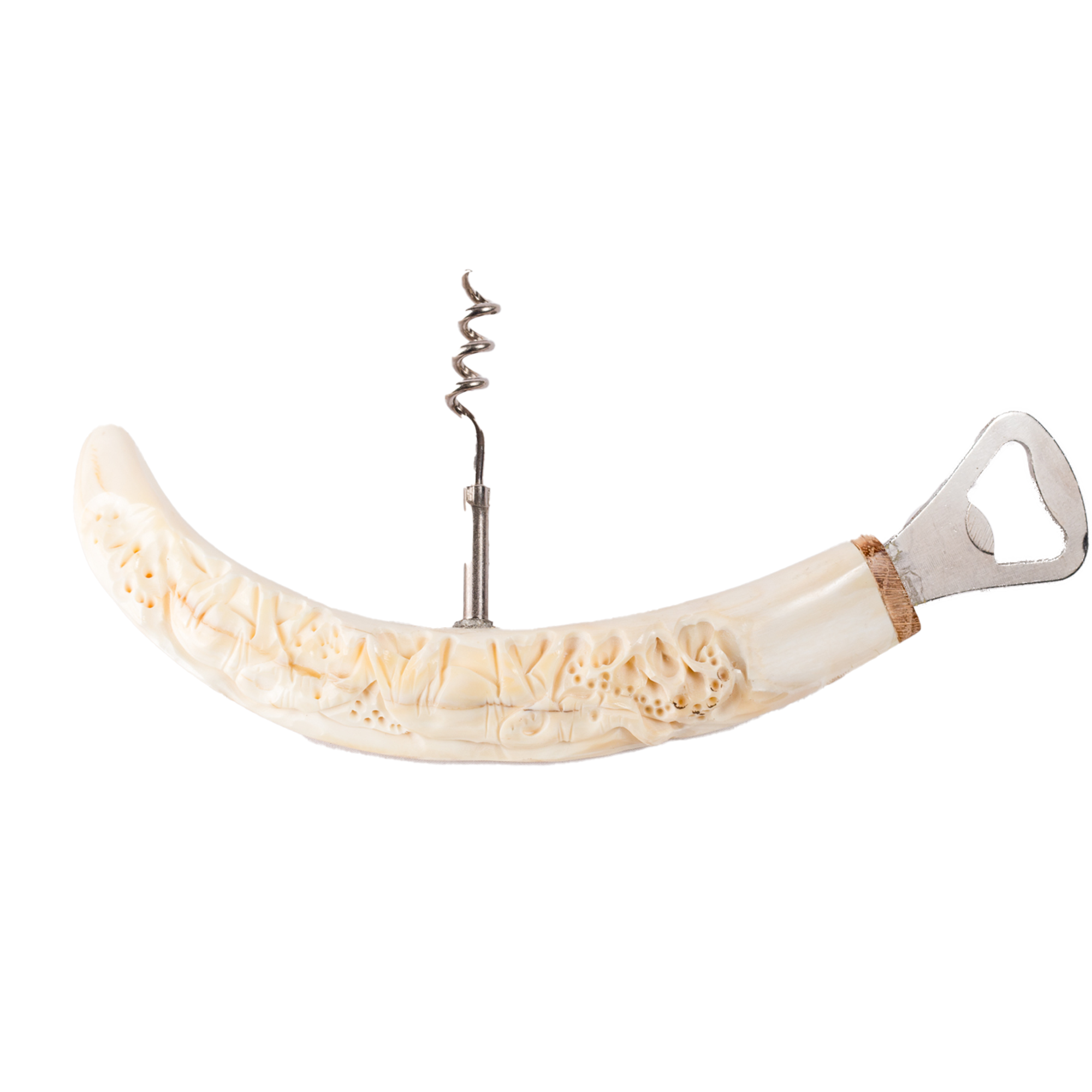 Warthog Tusk Bottle Opener