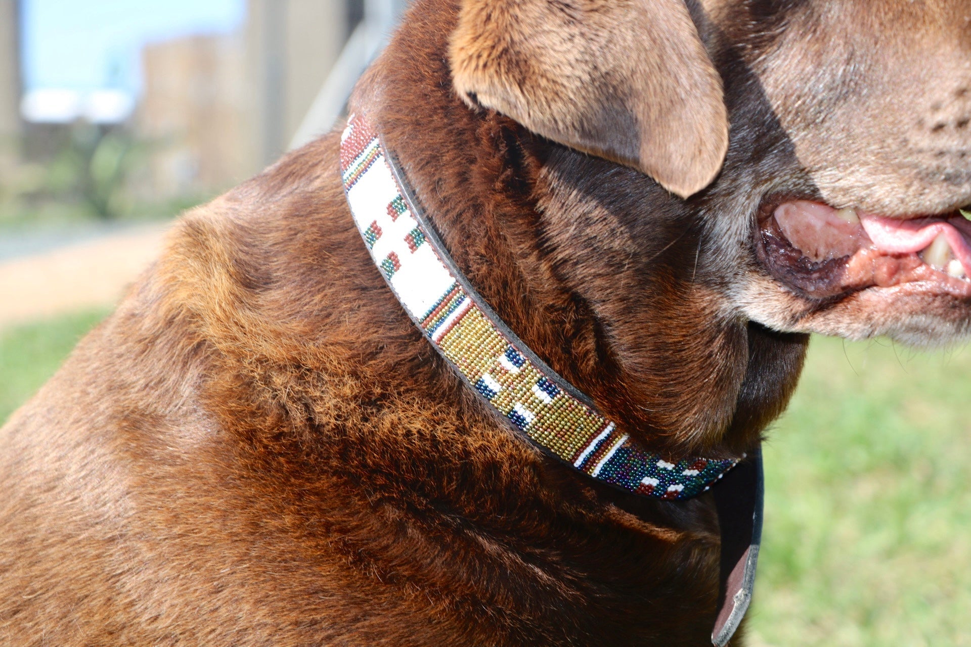Large Leather Beaded Dog Collar