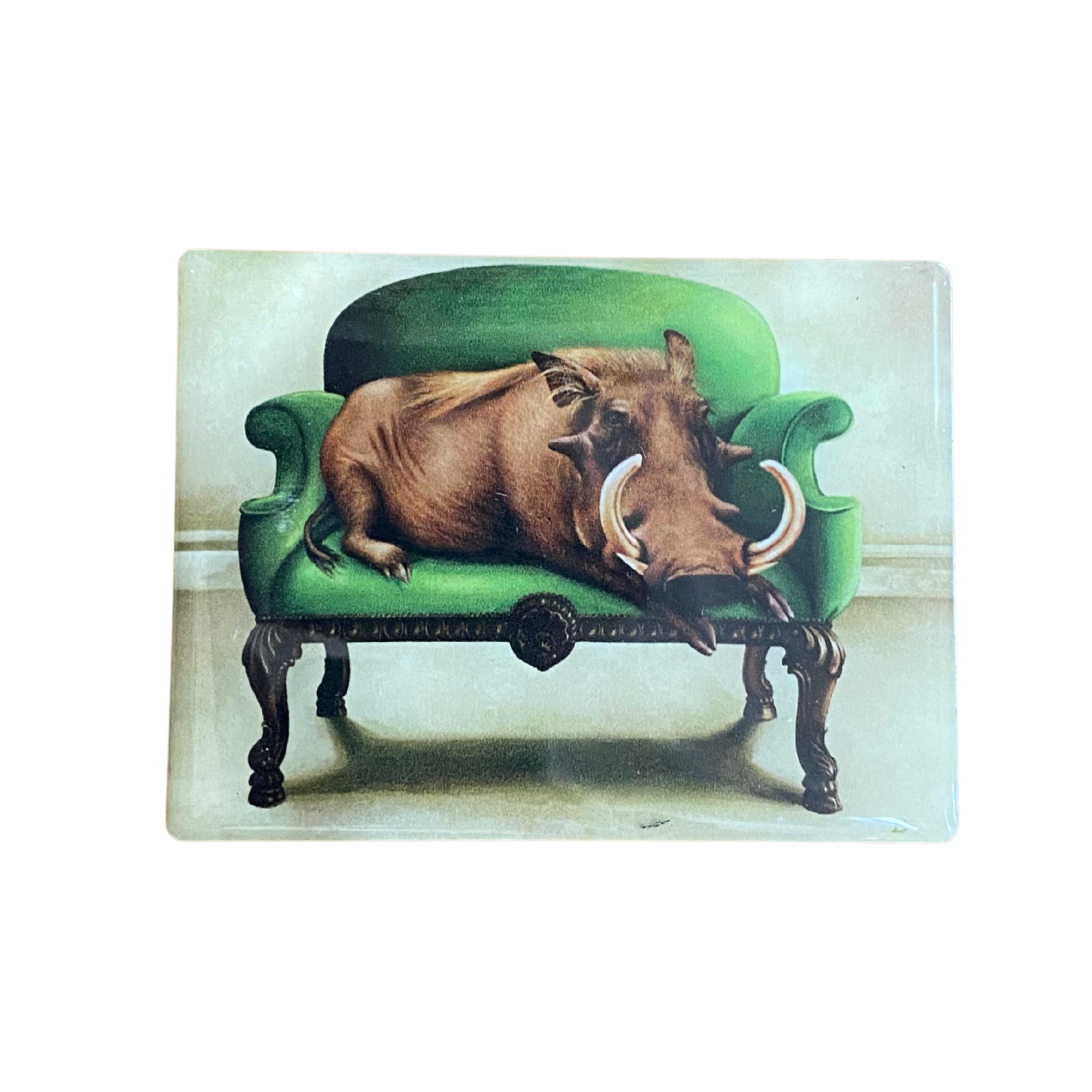 Leisure Warthog Fridge Magnet