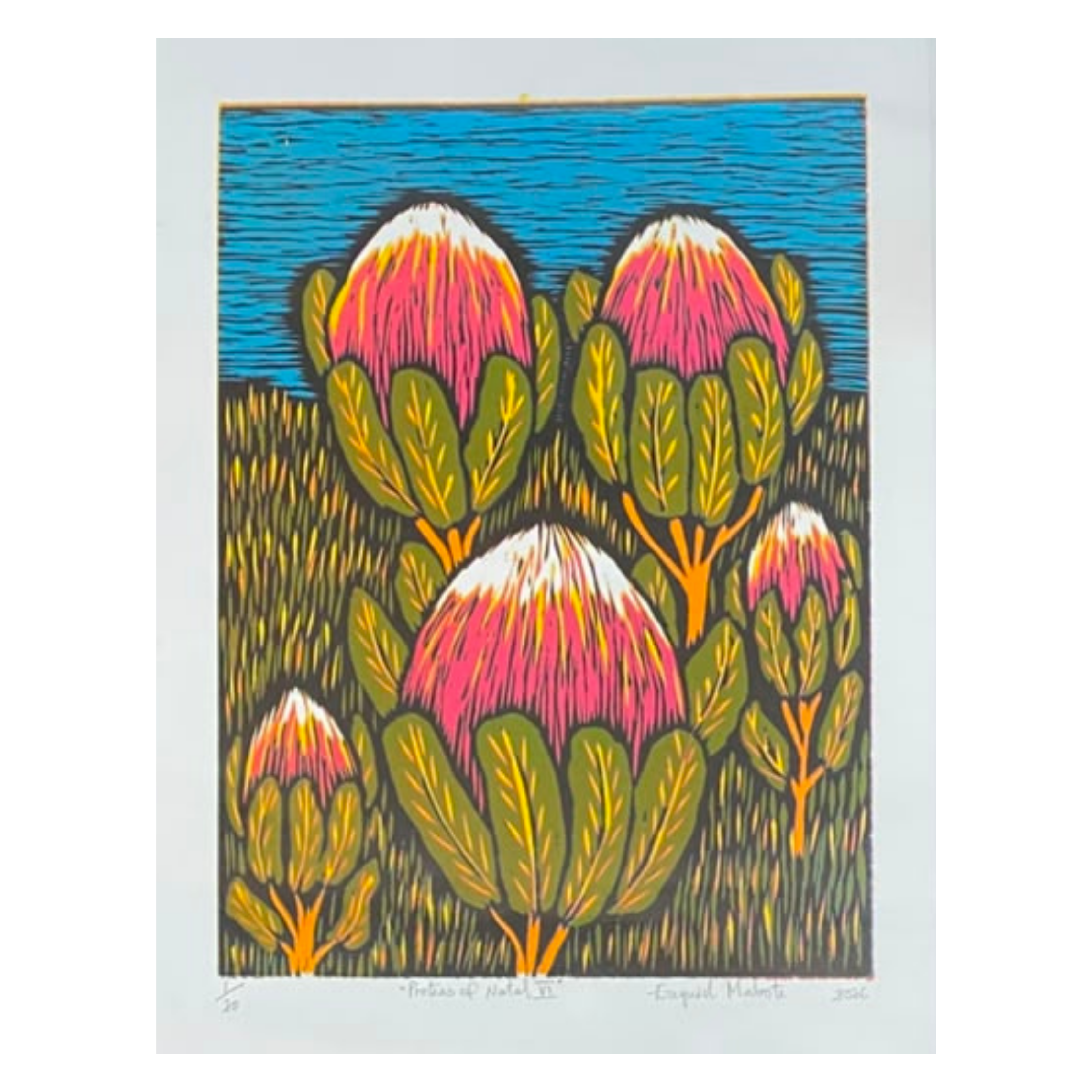 Mabote Art Woodprint Painting - Protea Of Natal