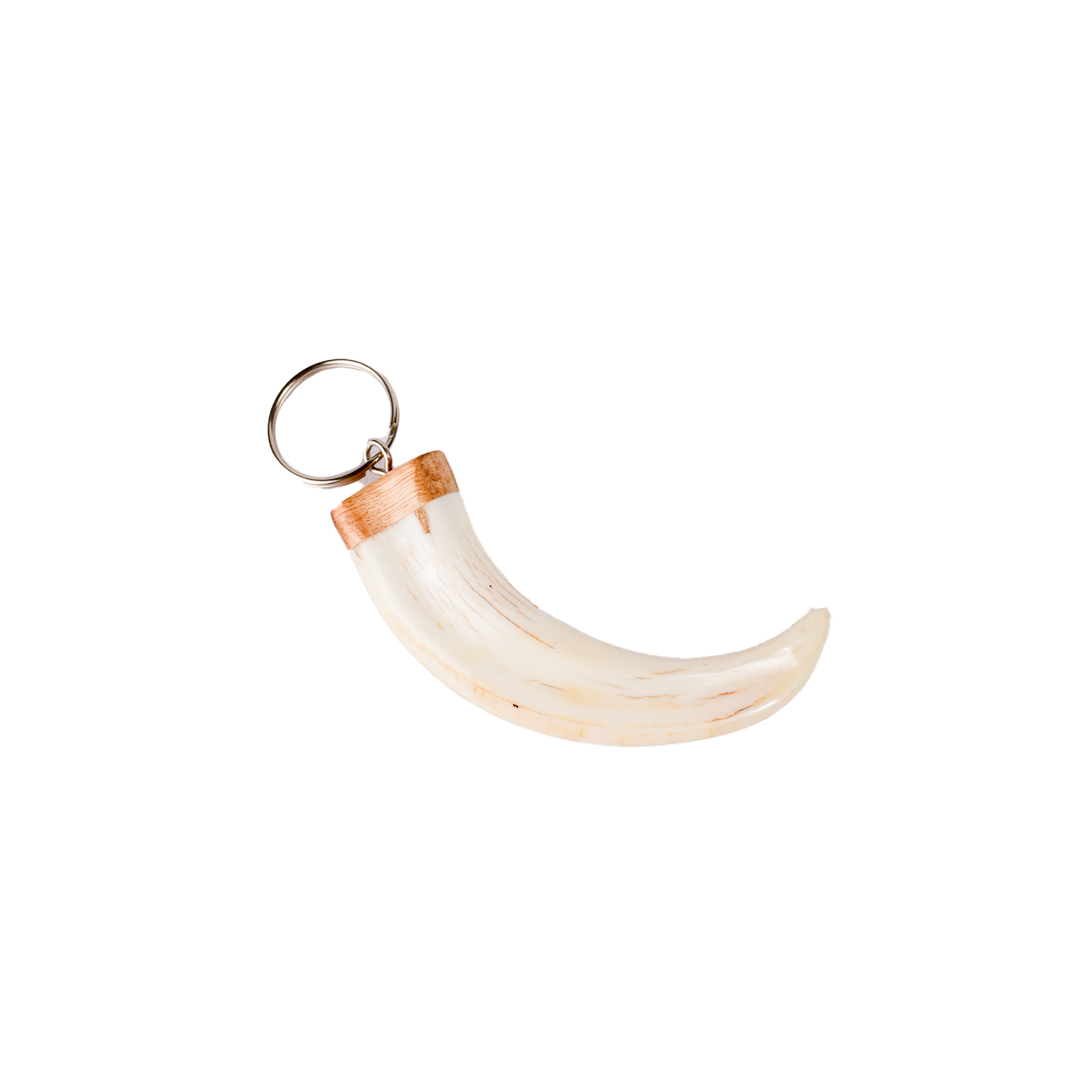 Small Warthog Tusk Keyring