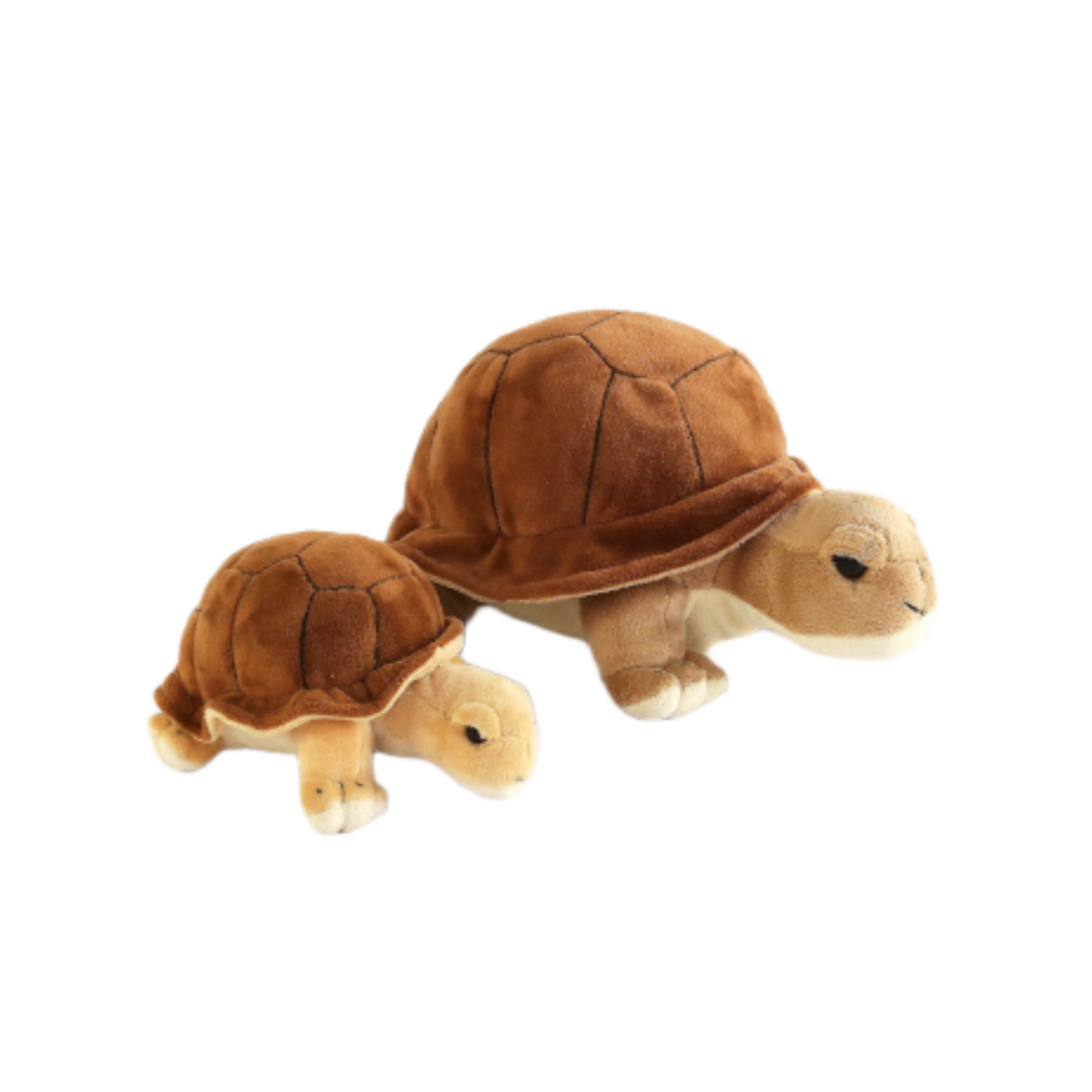 Tortoise Soft Toy
