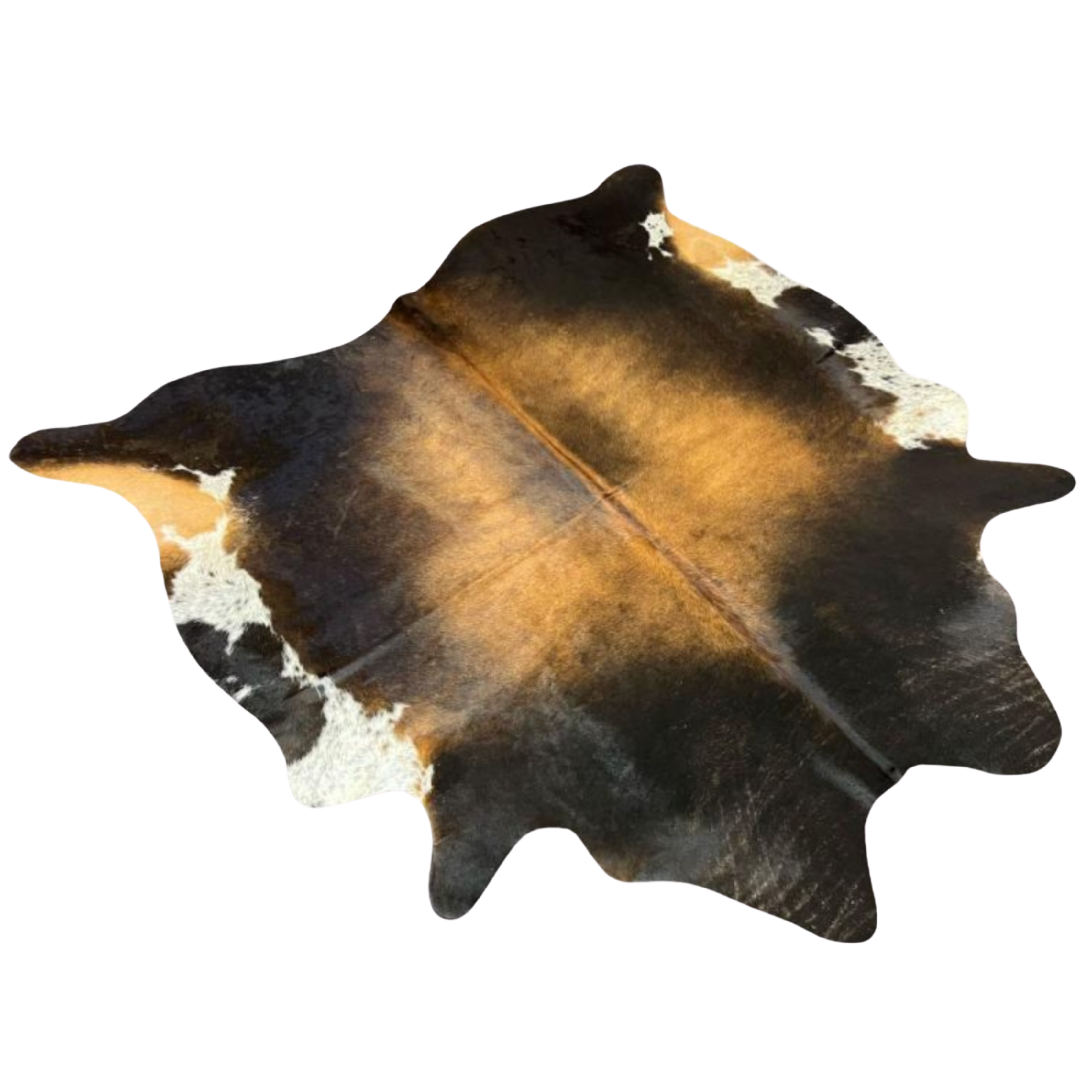 Tri Coloured AASS Grade Cowhide